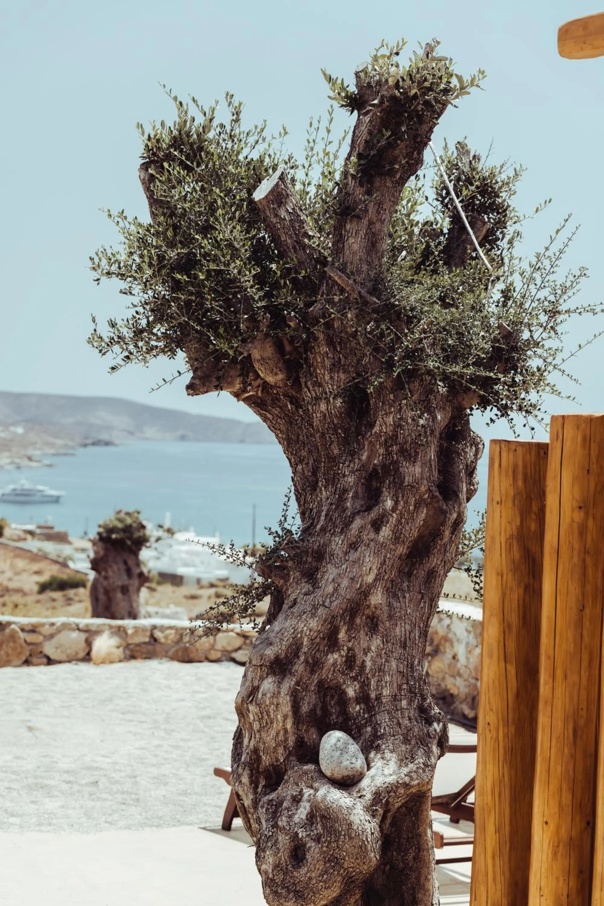 M-Vibes Mykonos Suites