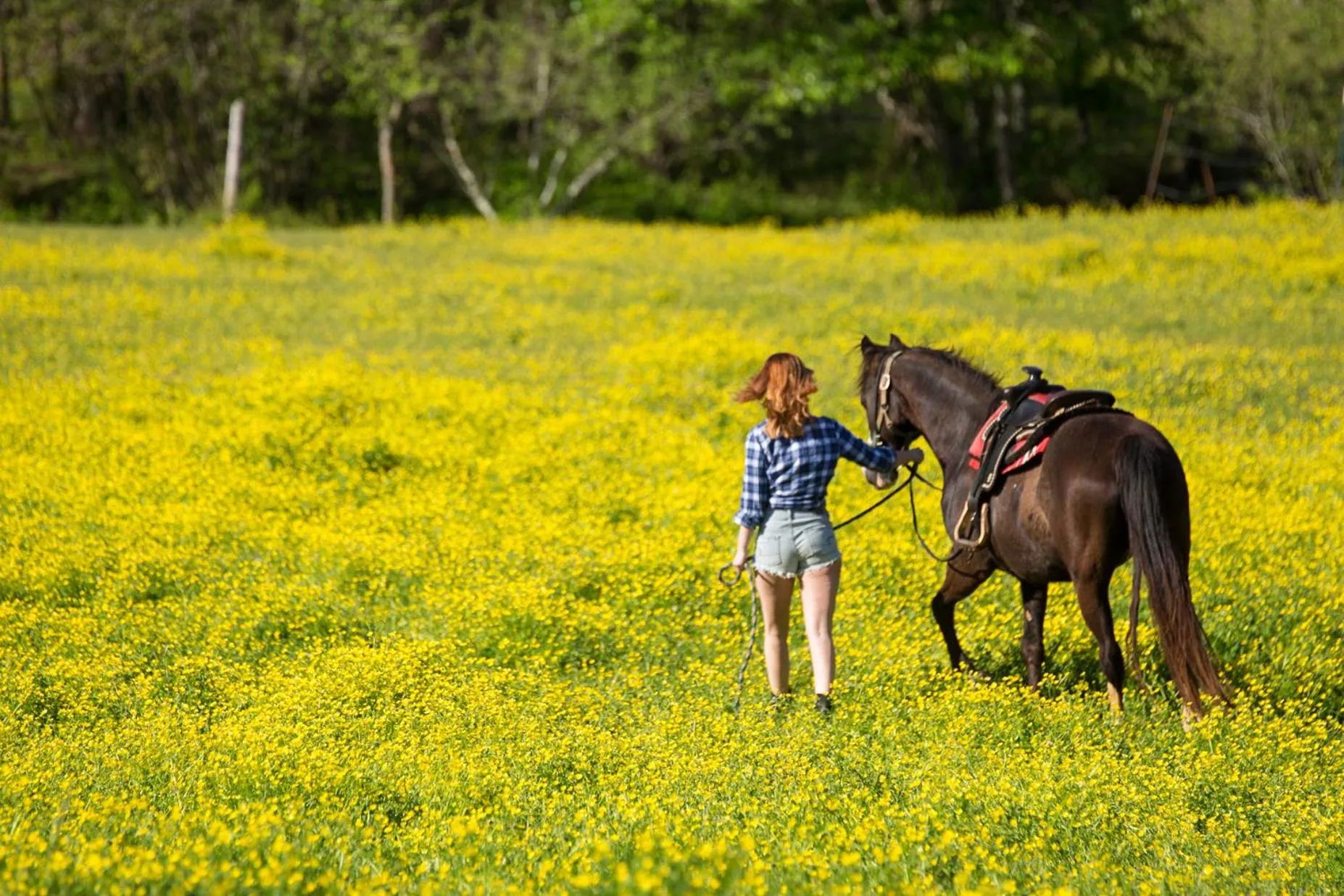 People in Forrest Hills Mountain Resort