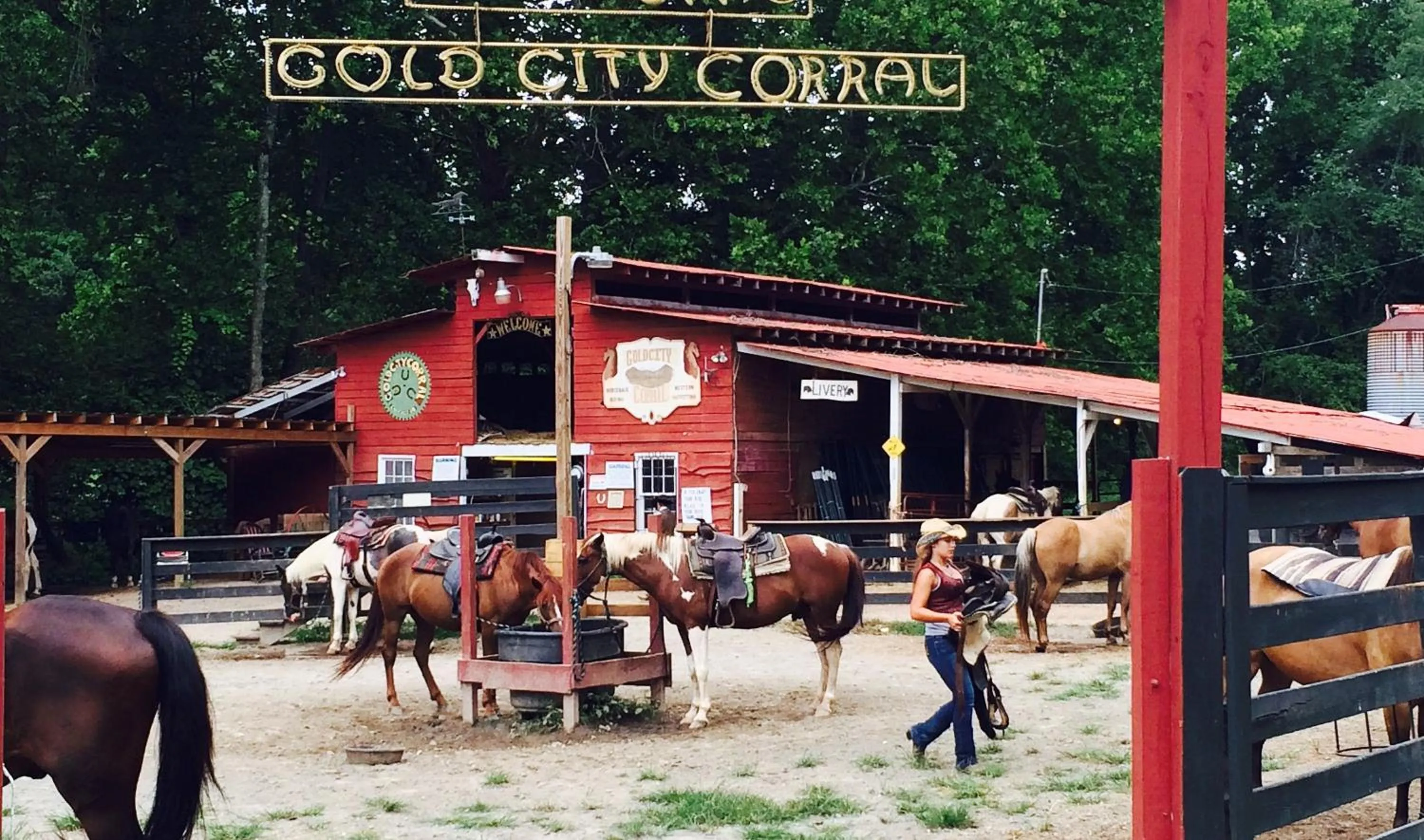 Activities in Forrest Hills Mountain Resort