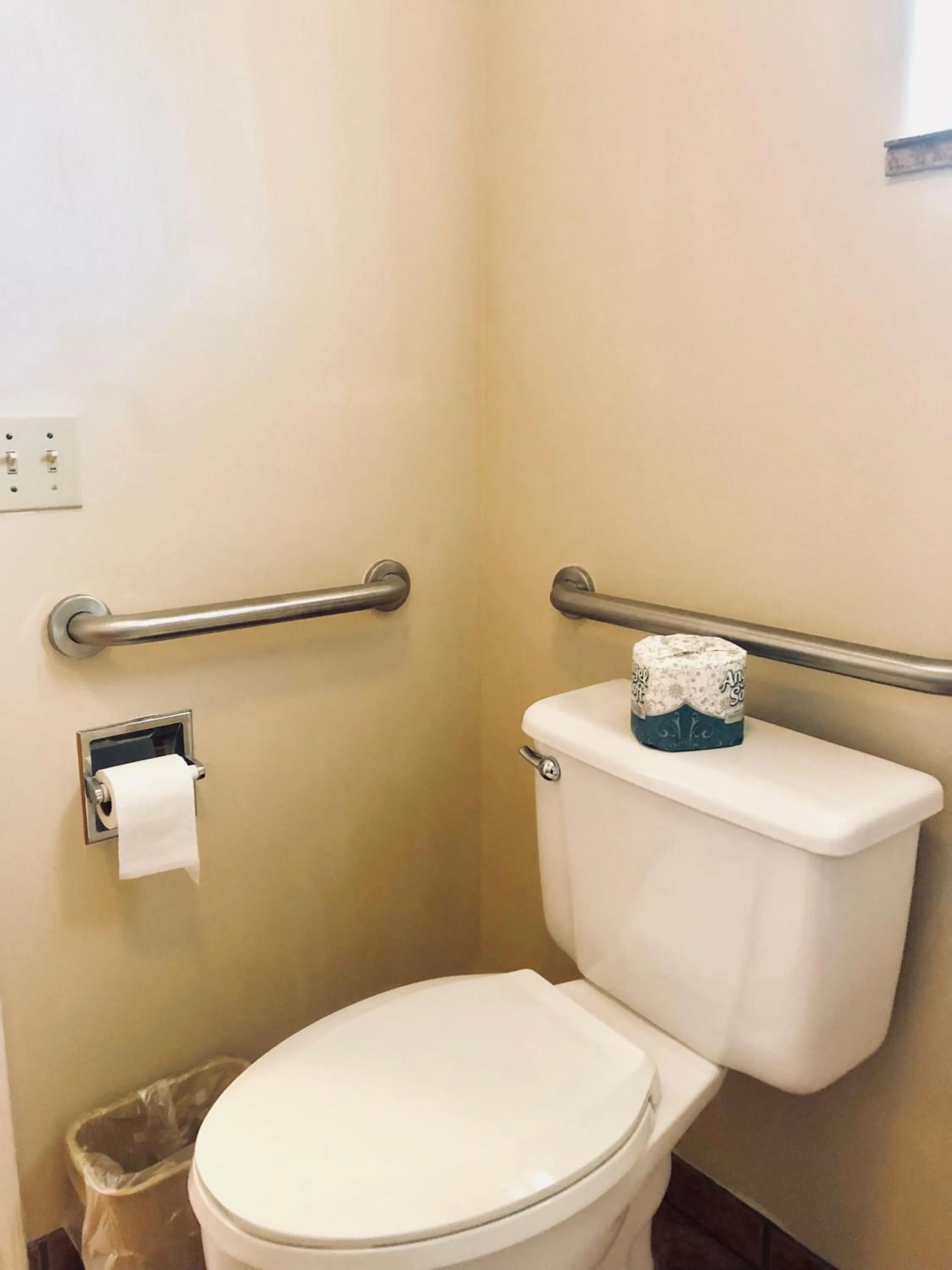 Toilet in A Western Rose