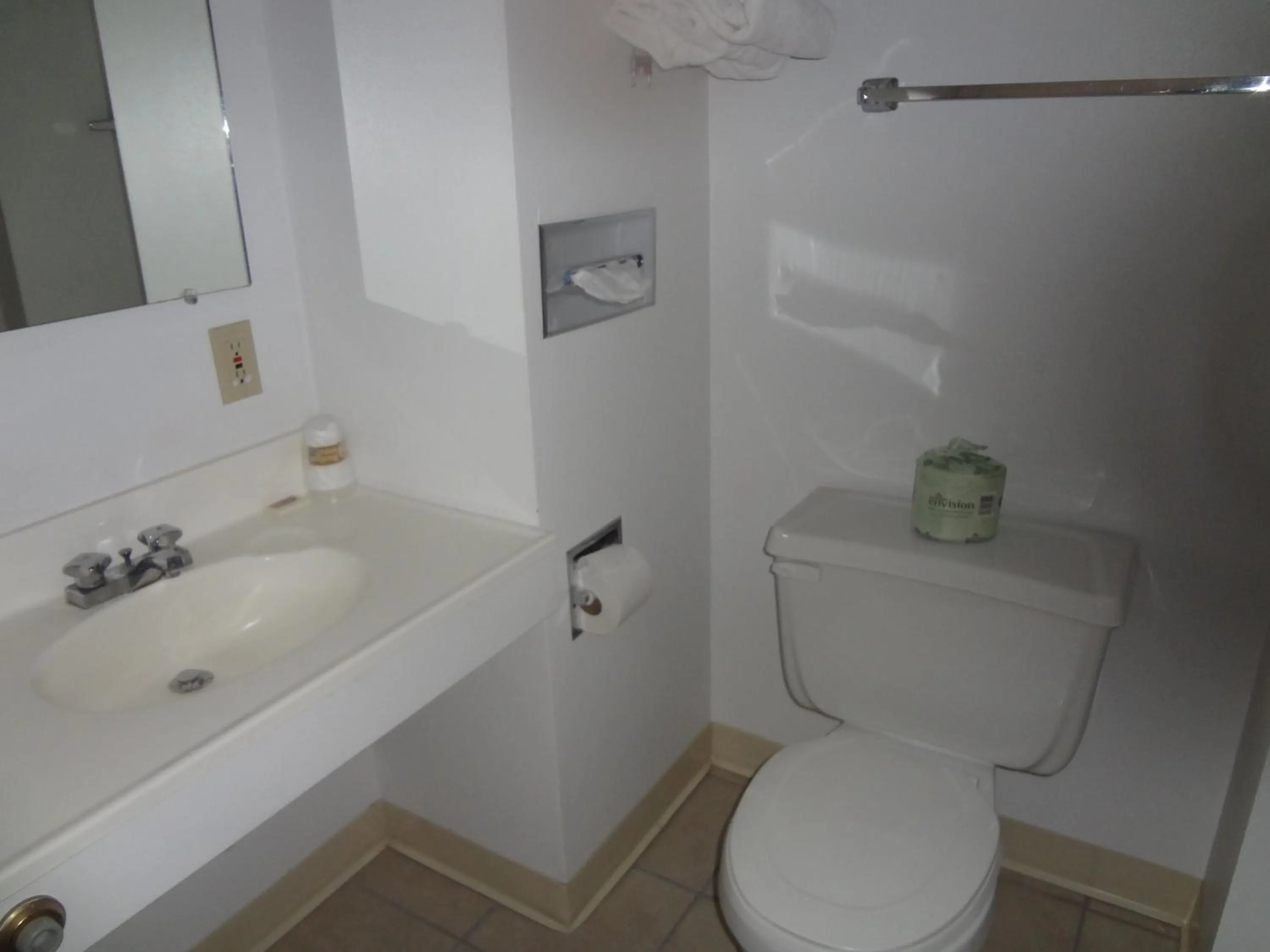 Toilet in A Western Rose