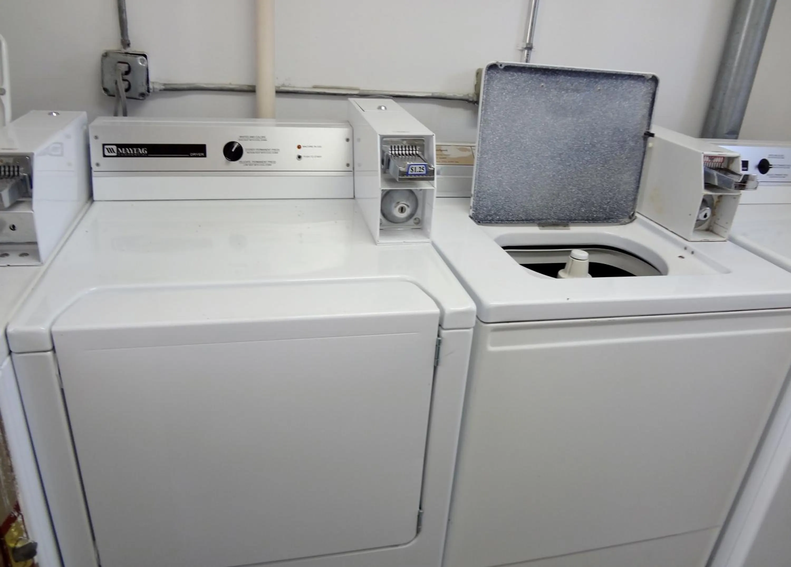 Other in A Western Rose