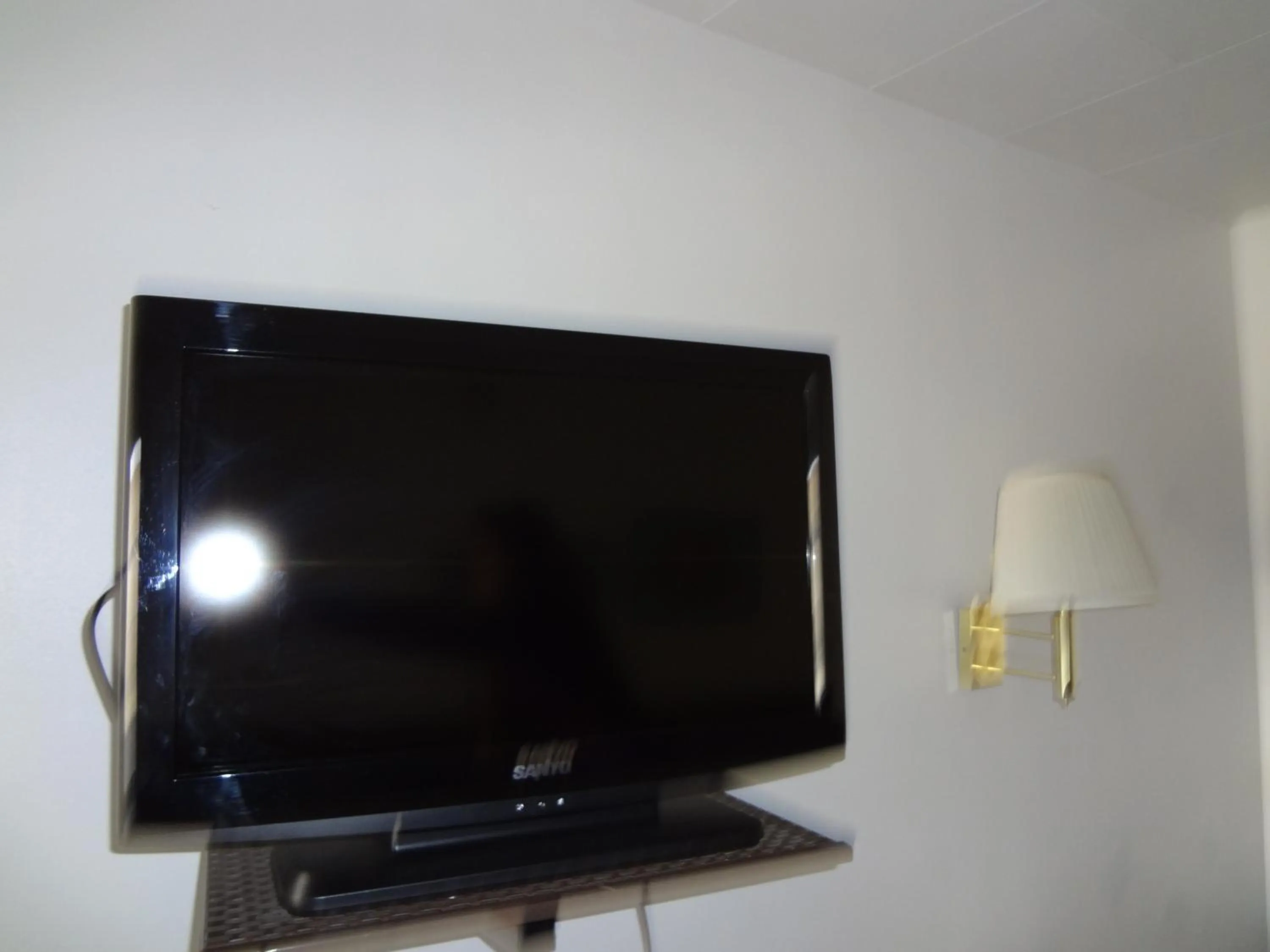 TV and multimedia in A Western Rose