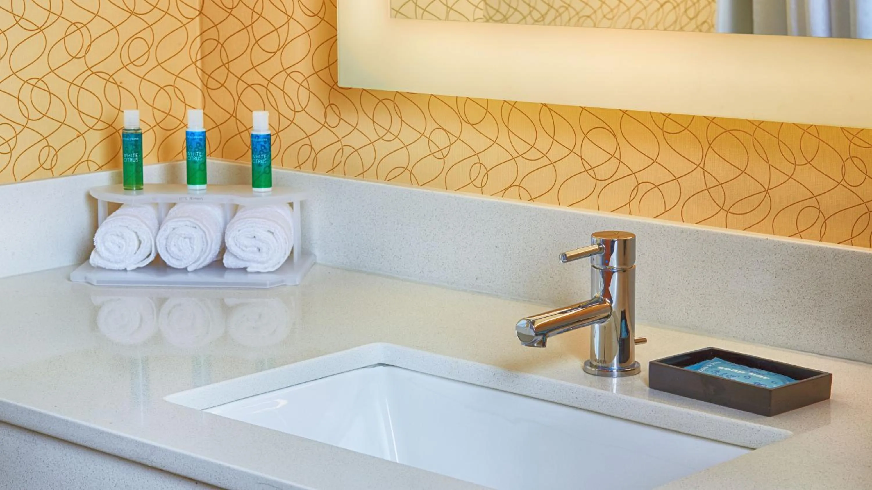 Bathroom in Holiday Inn Express Bordentown - Trenton South by IHG