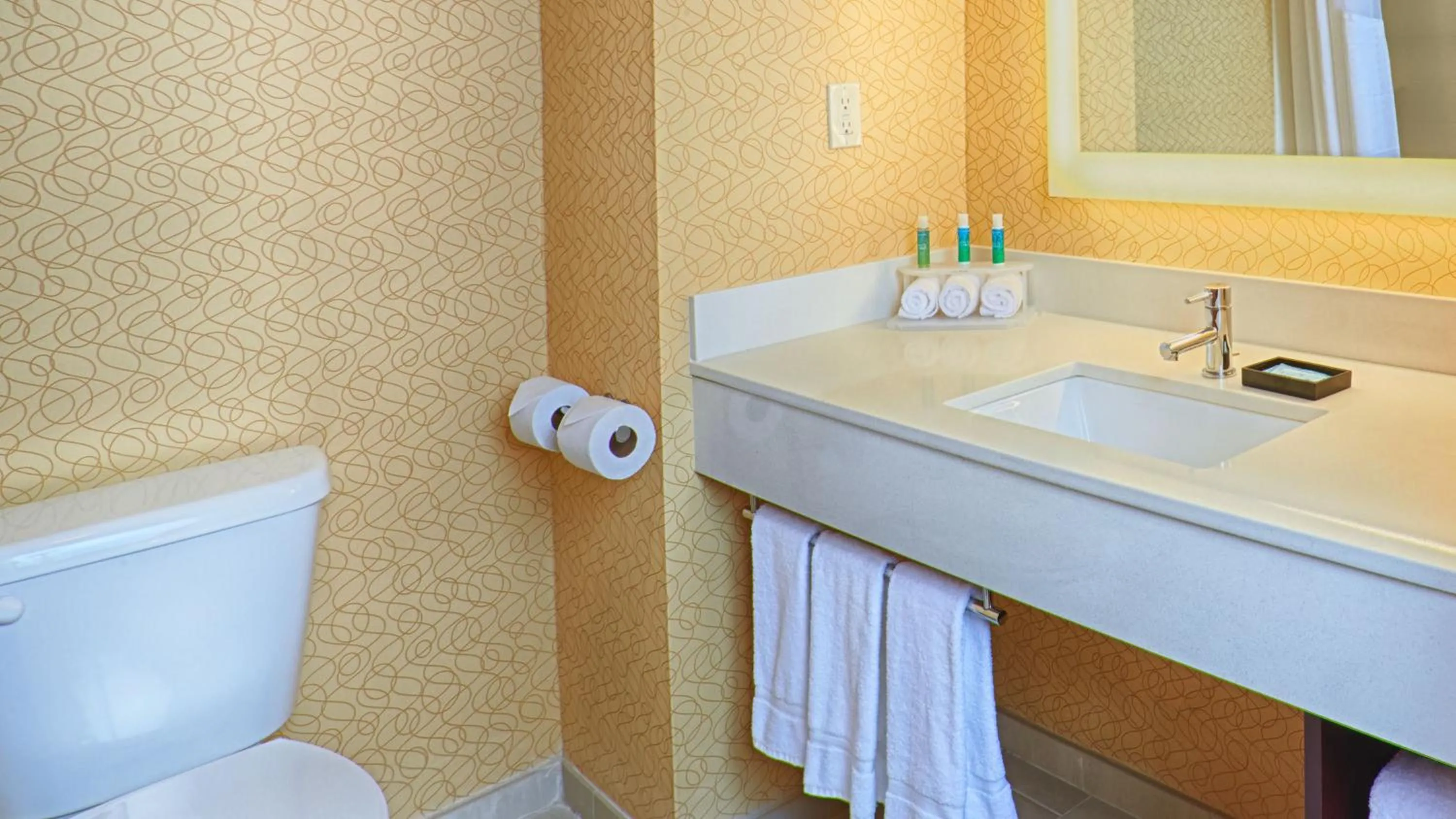 Bathroom in Holiday Inn Express Bordentown - Trenton South by IHG
