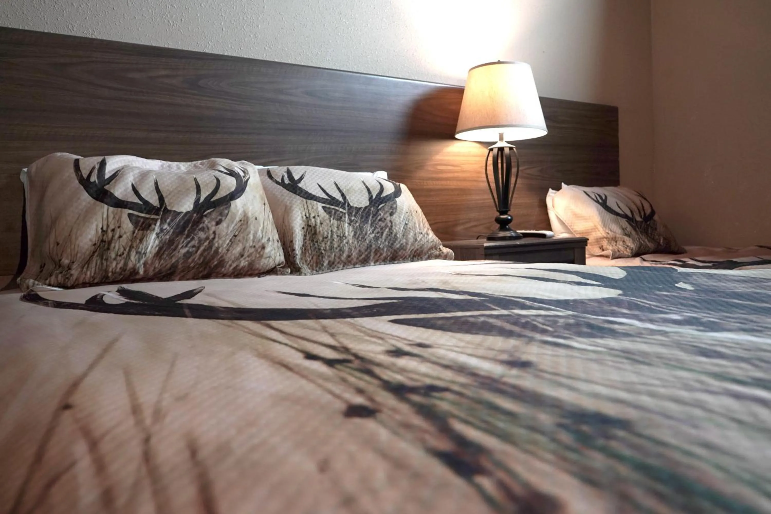 Bed in Old School Motel RV