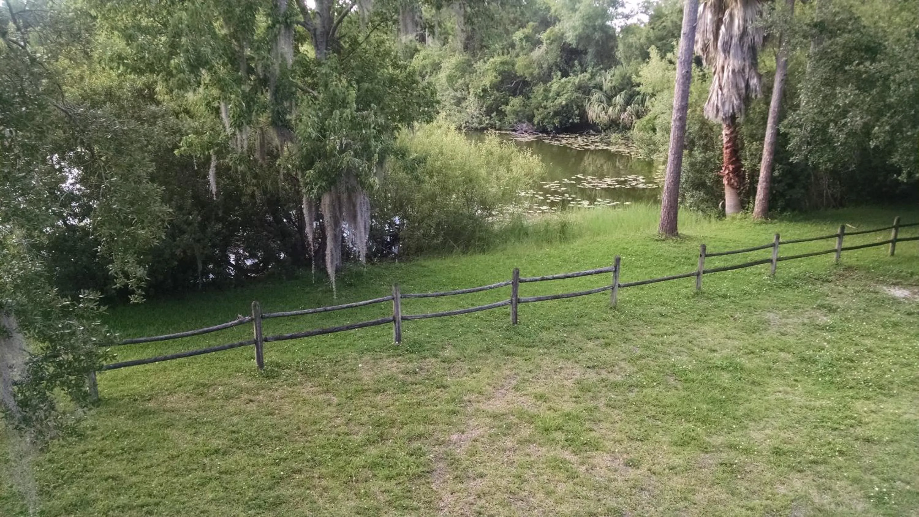 Other in Tampa Lakehouse