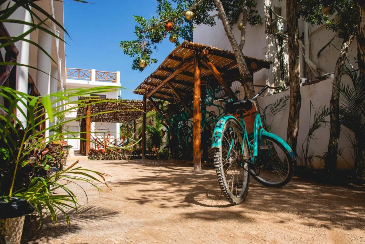 Entertainment in Villas Palmar Holbox