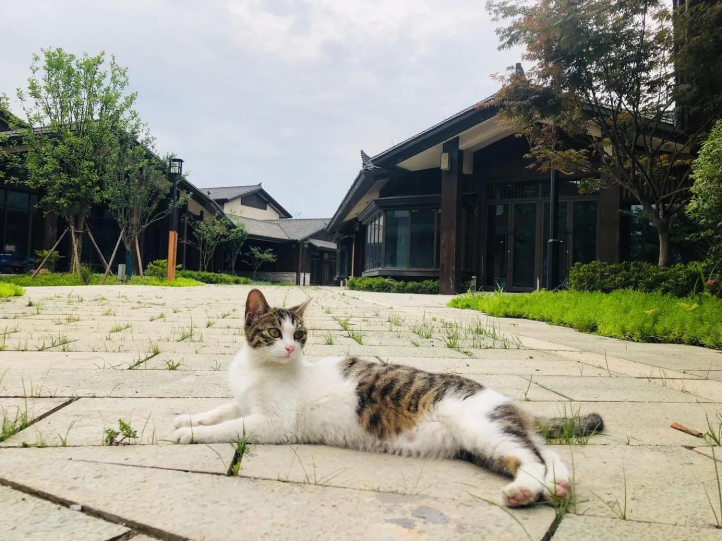 Blossom Hill Yuejingzhuang Hotel