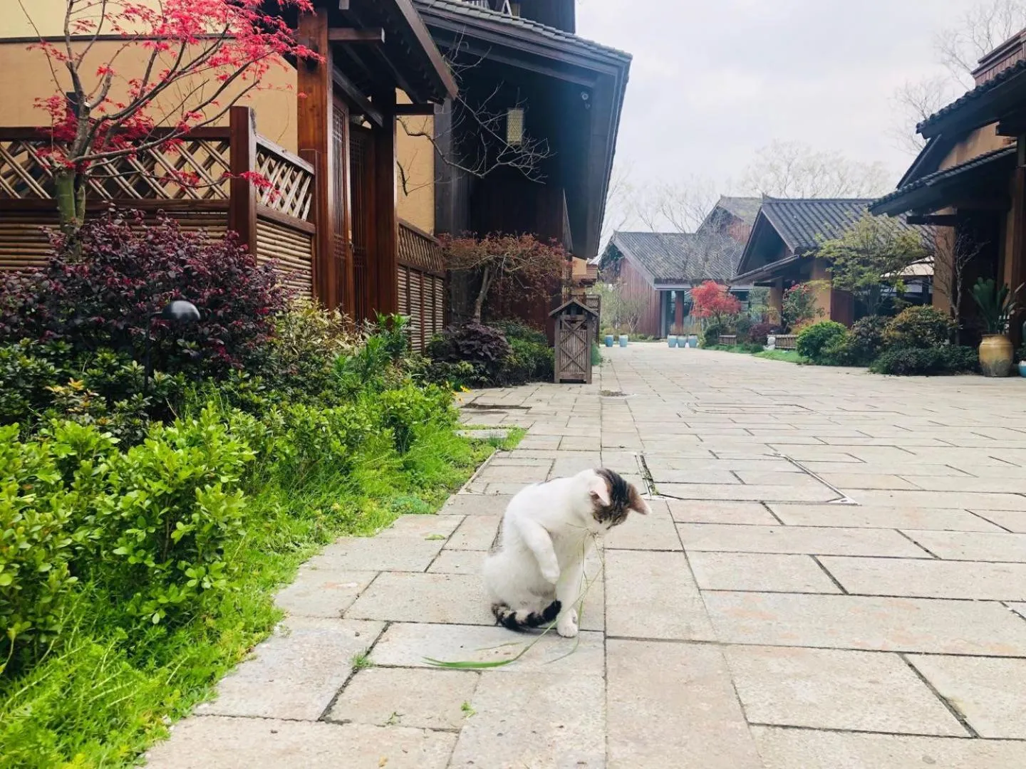 Blossom Hill Yuejingzhuang Hotel