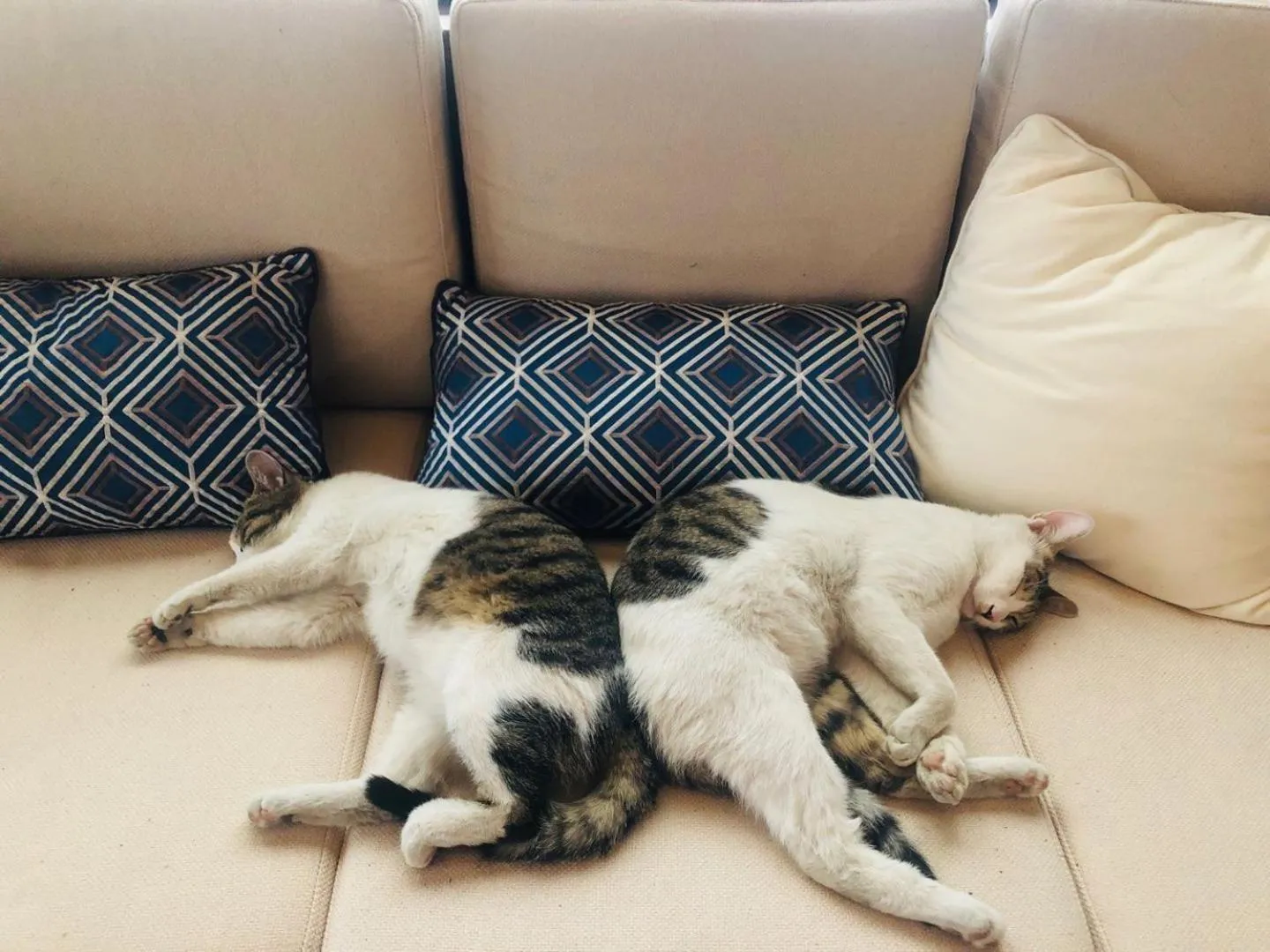 Blossom Hill Yuejingzhuang Hotel