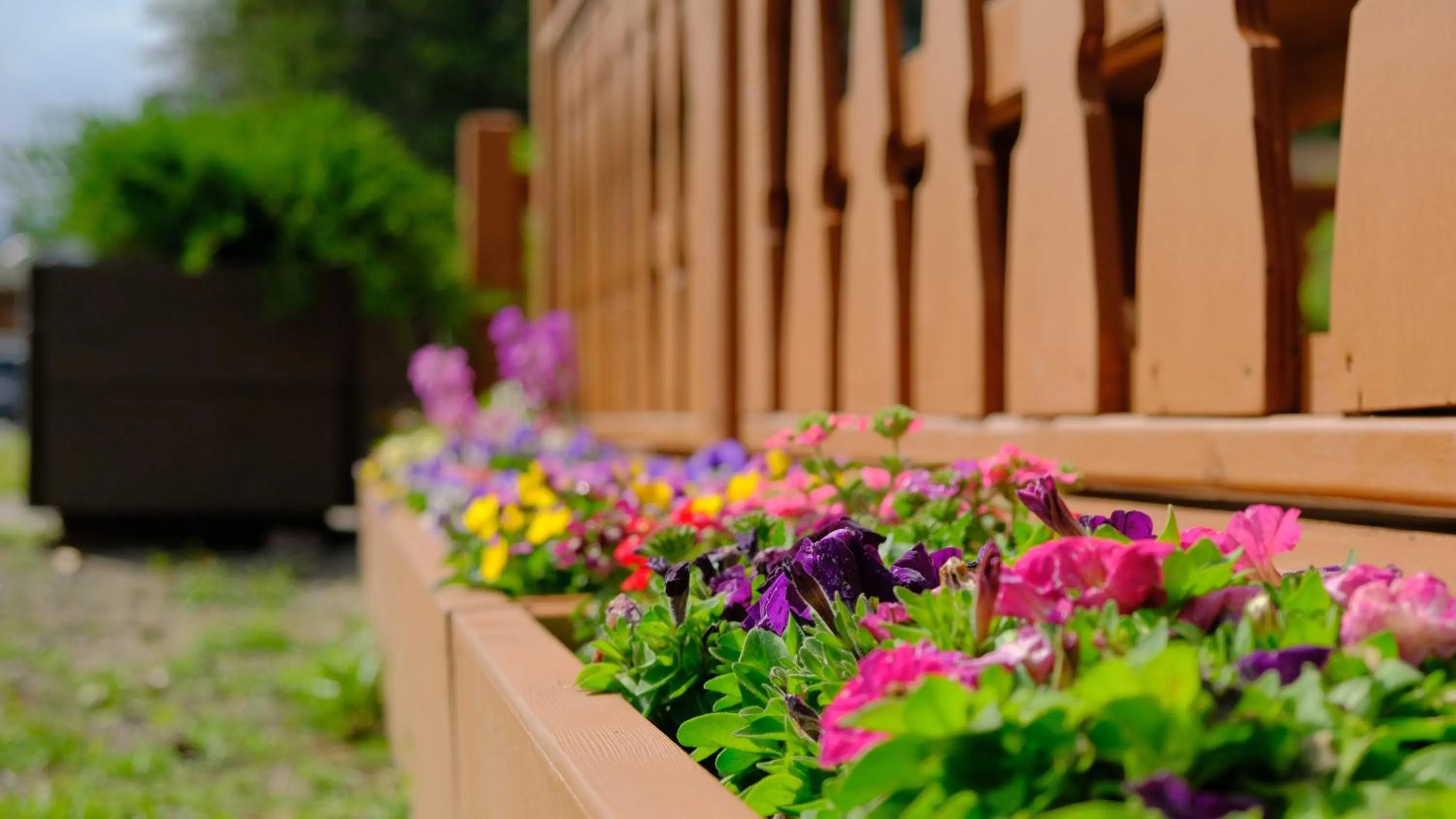 Balcony/Terrace in Riverfront Estate Bed&Breakfast Banff