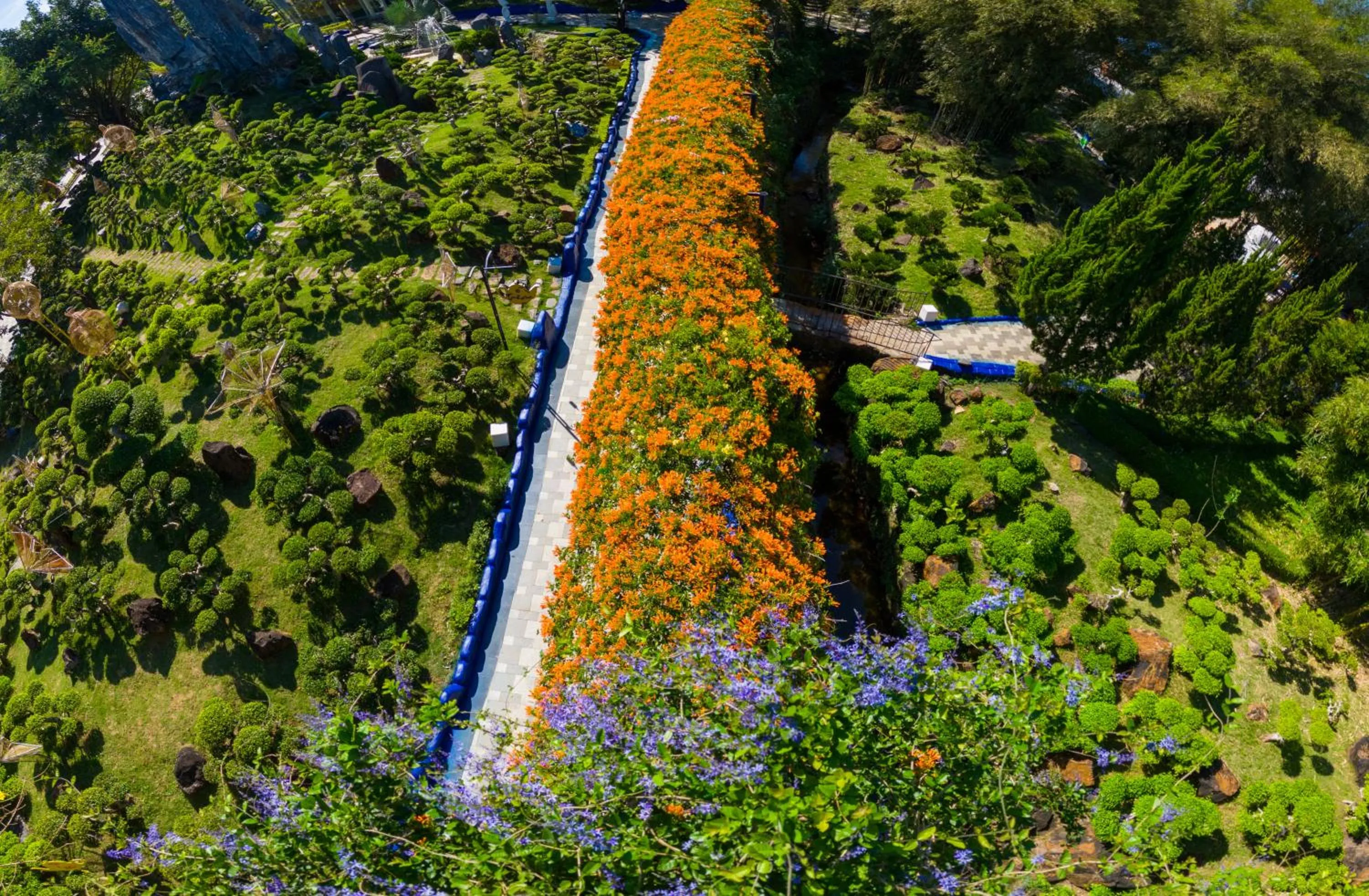 Natural landscape in Tea Resort