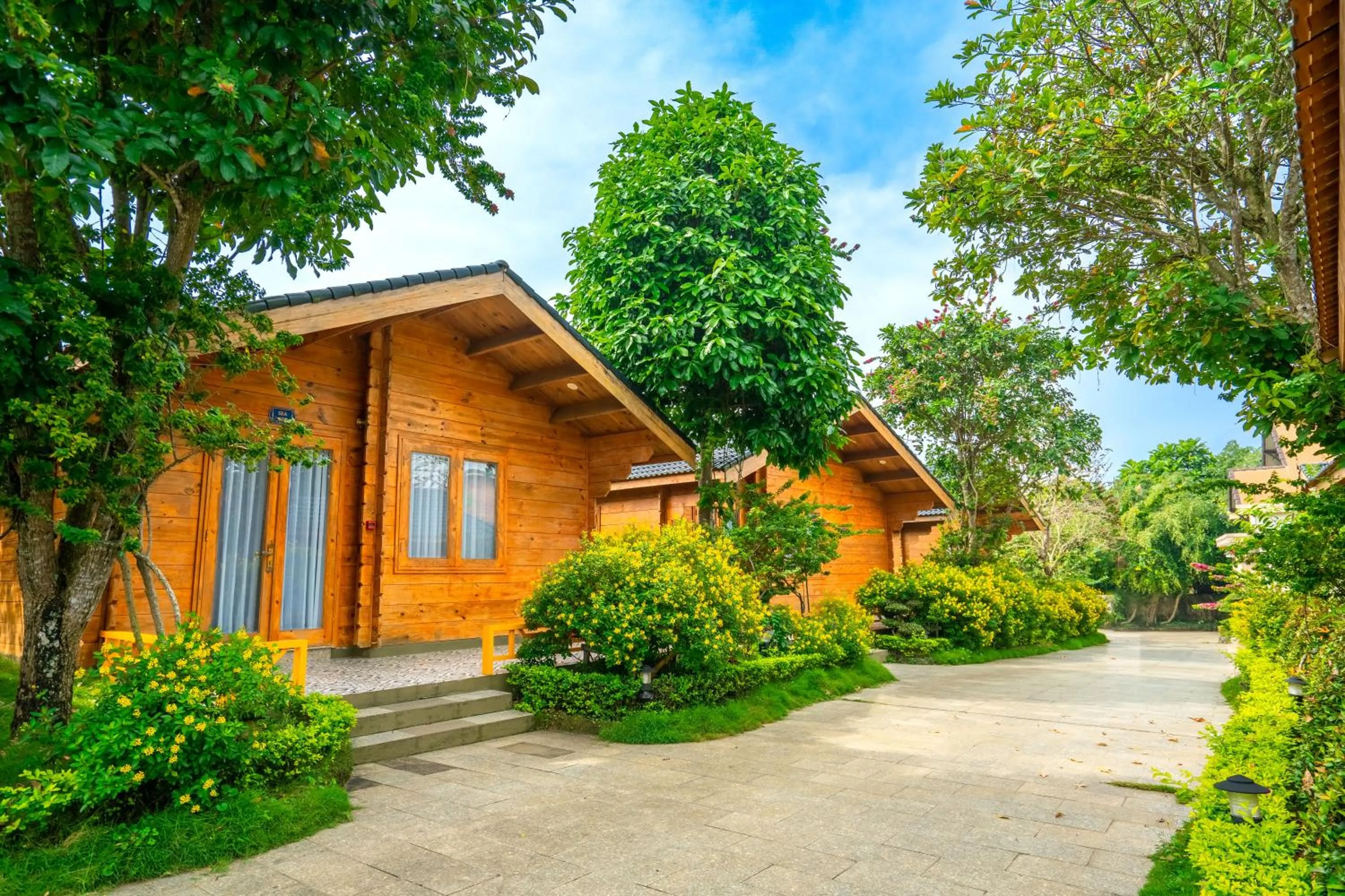 Natural landscape in Tea Resort