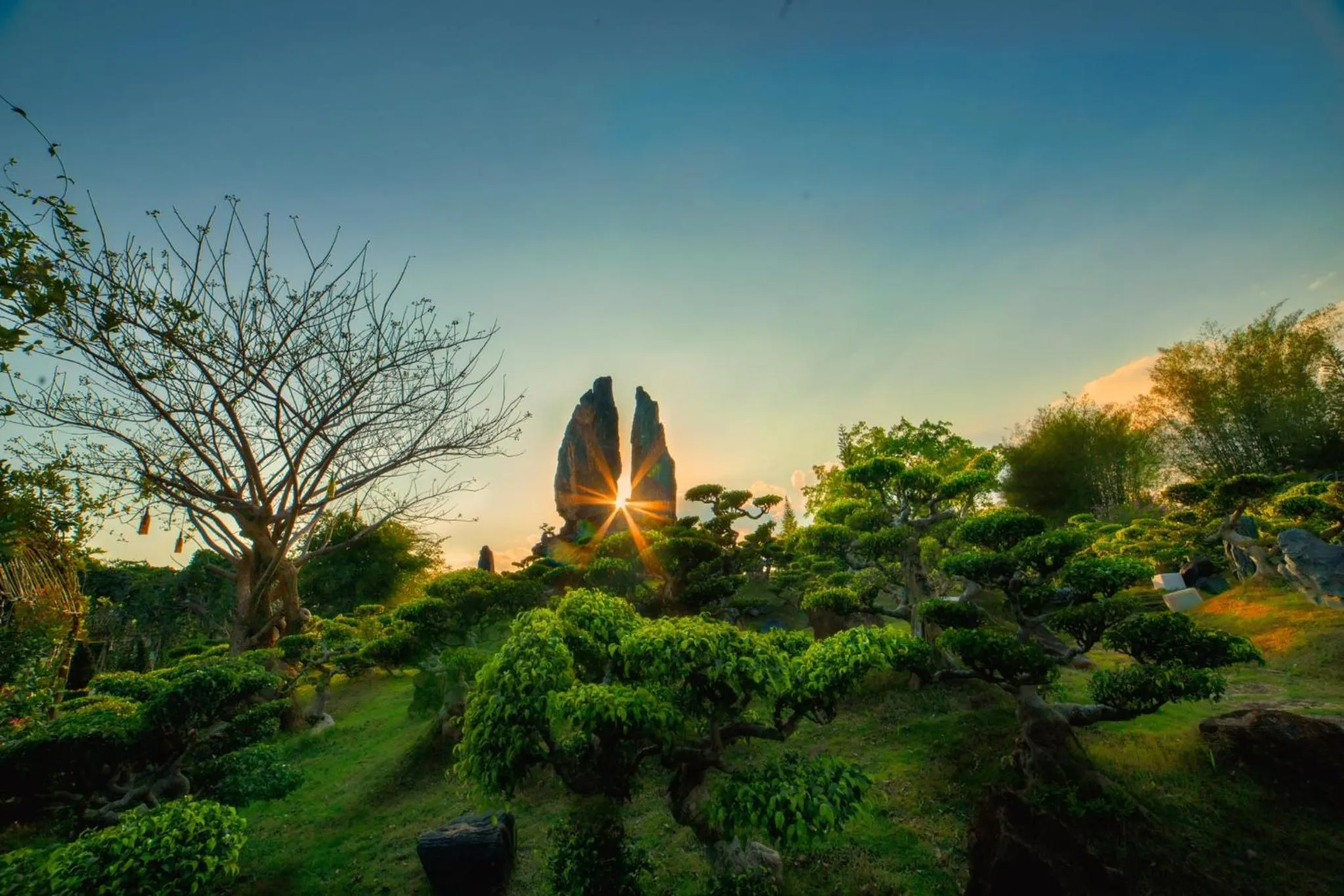 Garden in Tea Resort