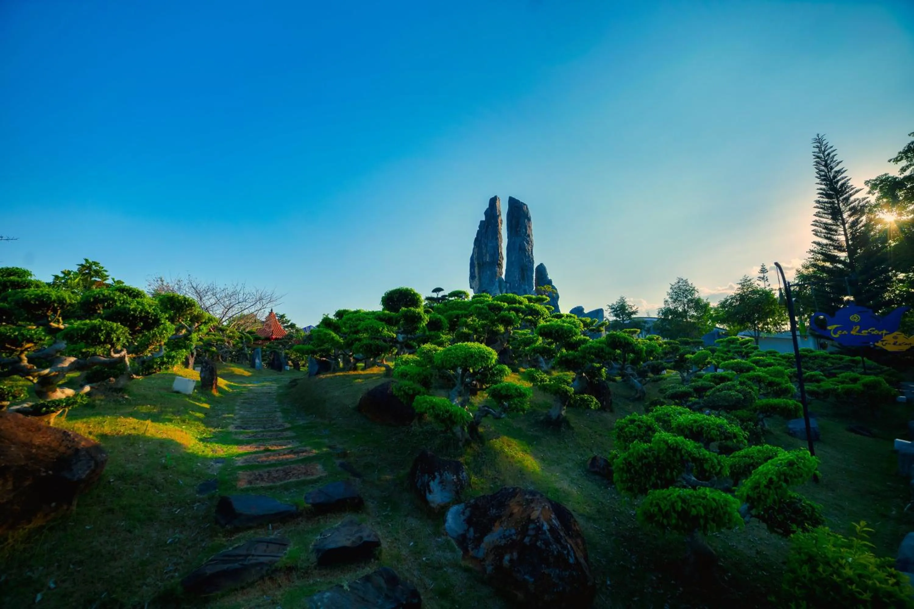 Natural landscape in Tea Resort