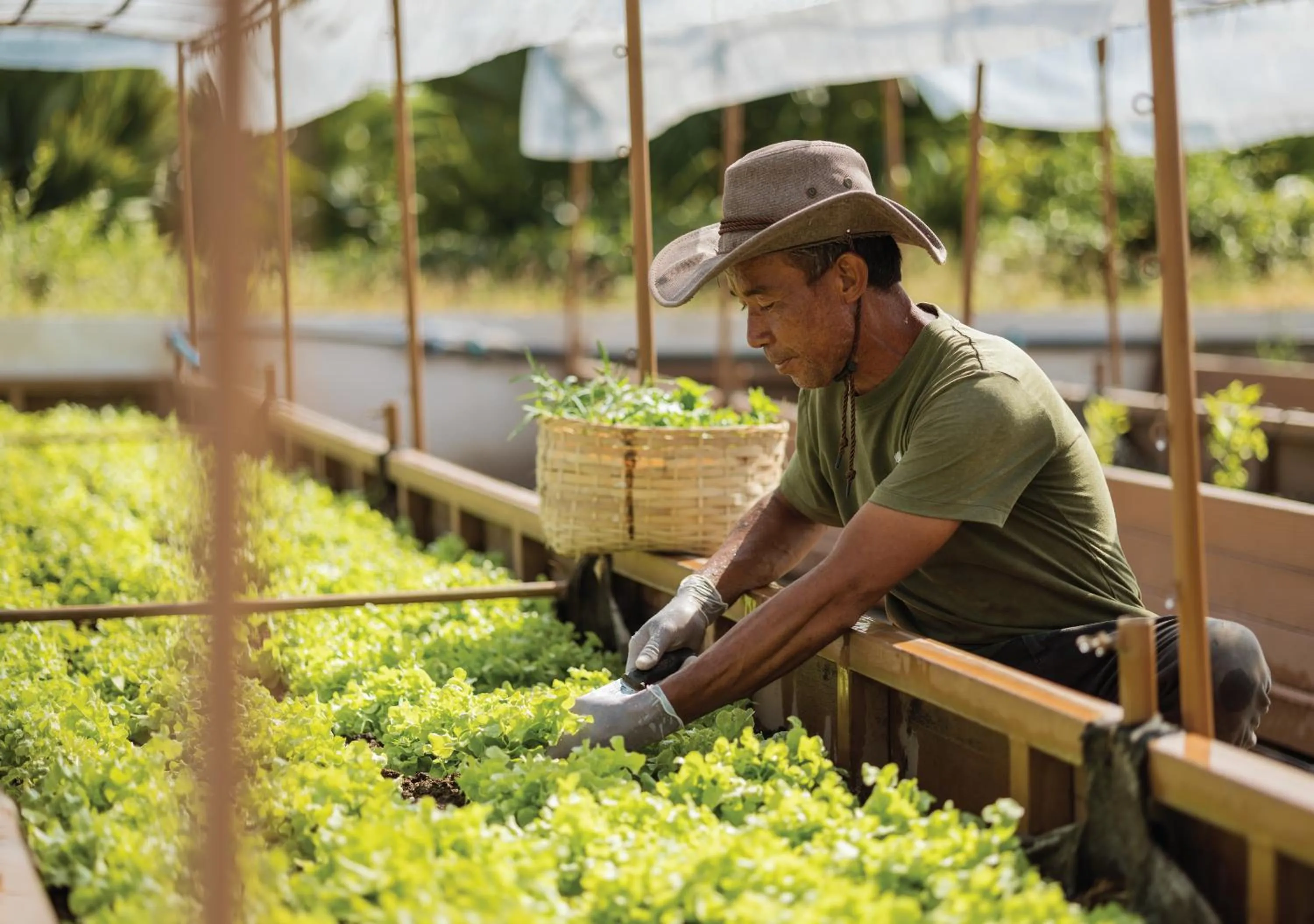 Other in Stay Wellbeing & Lifestyle Resort