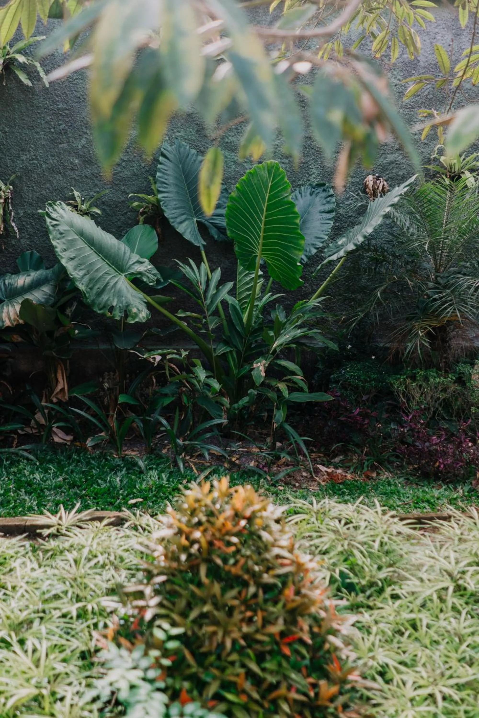 Garden in Rahayu Guest House Ubud