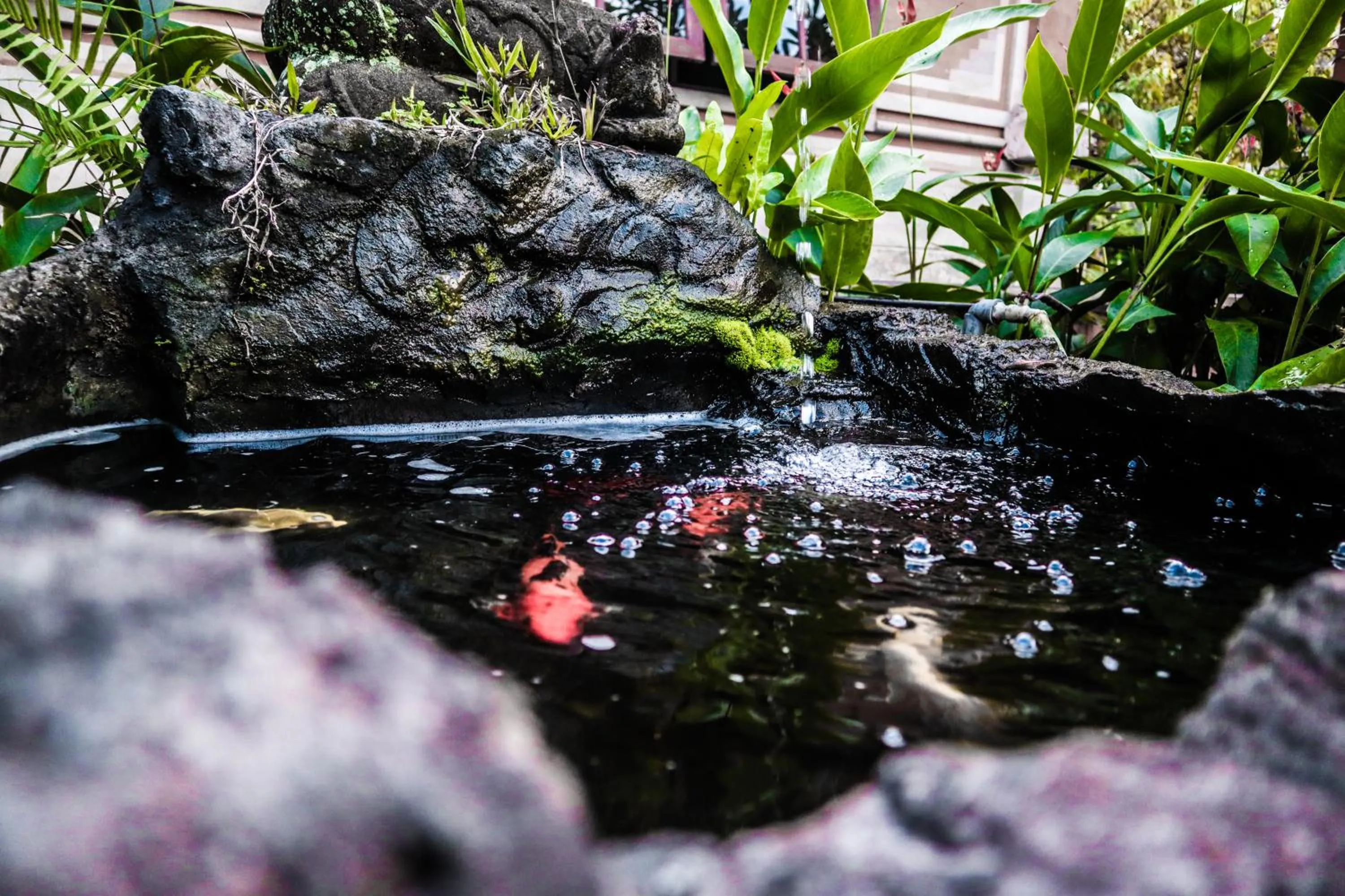 Natural landscape in Rahayu Guest House Ubud