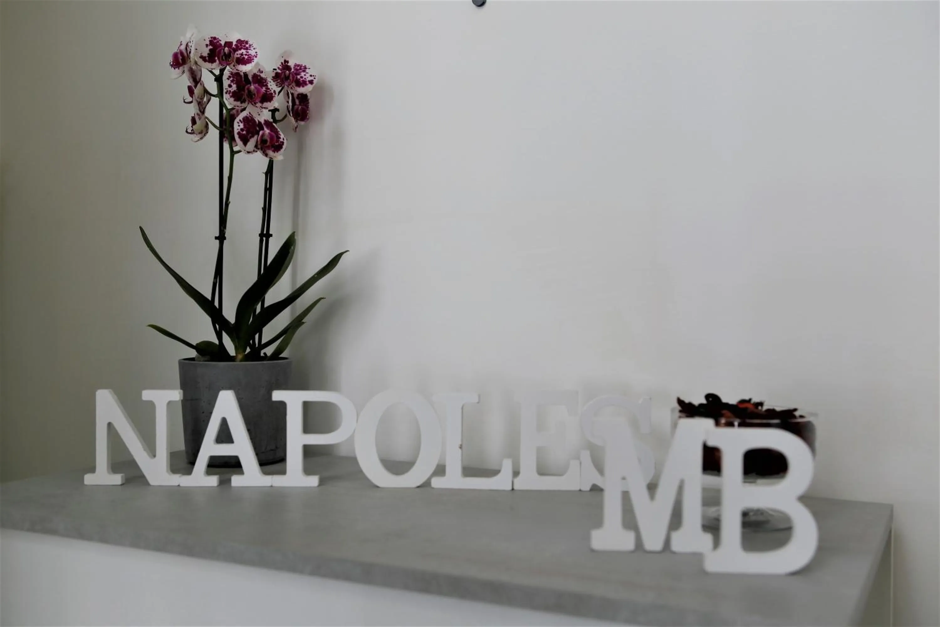 MB Napoles intera casa