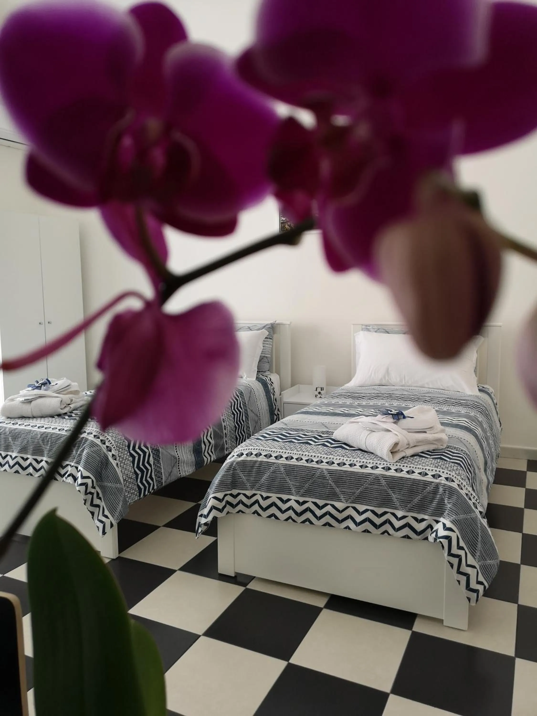 MB Napoles intera casa