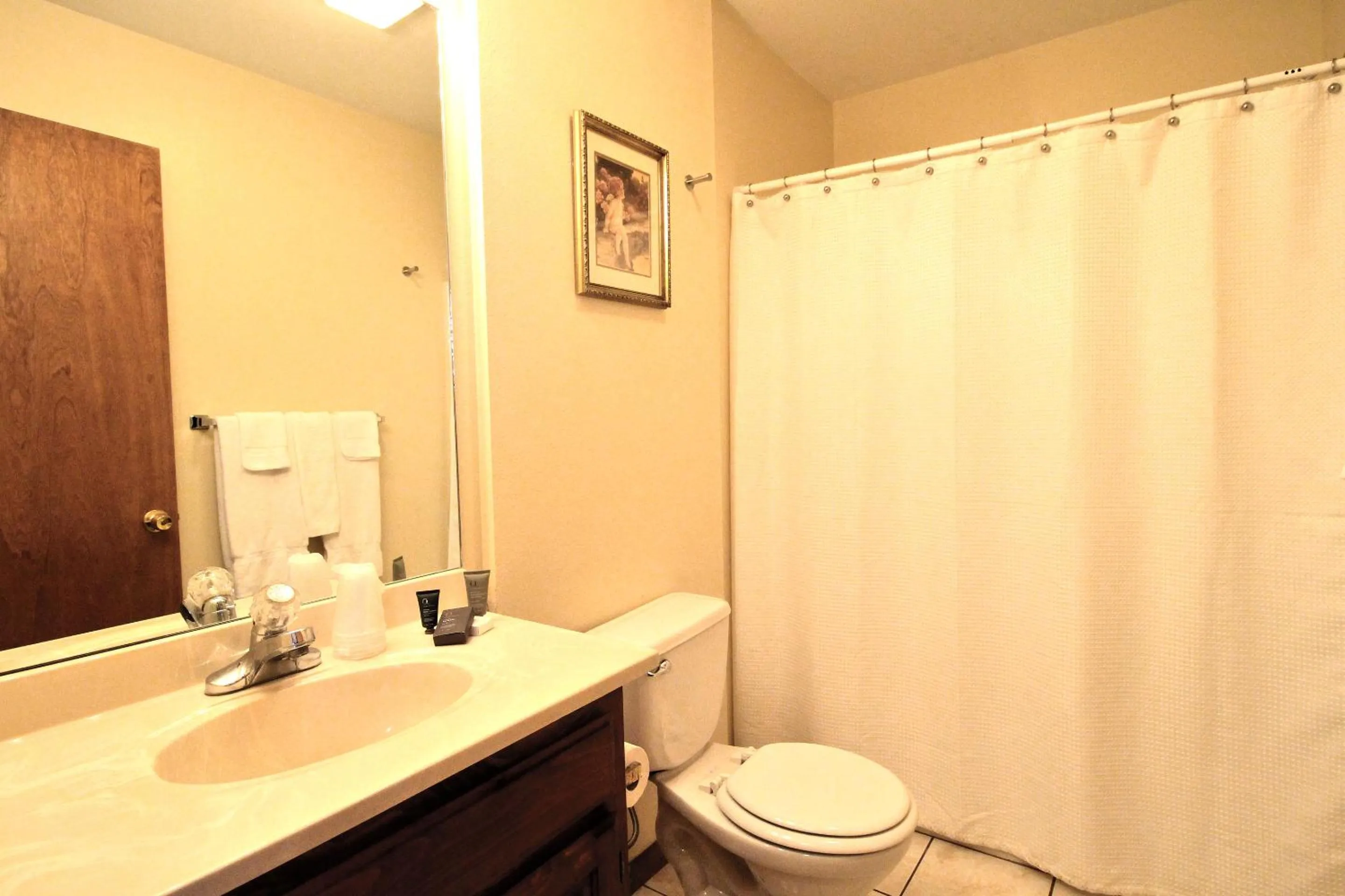 Bathroom in Peach Tree Inn & Suites