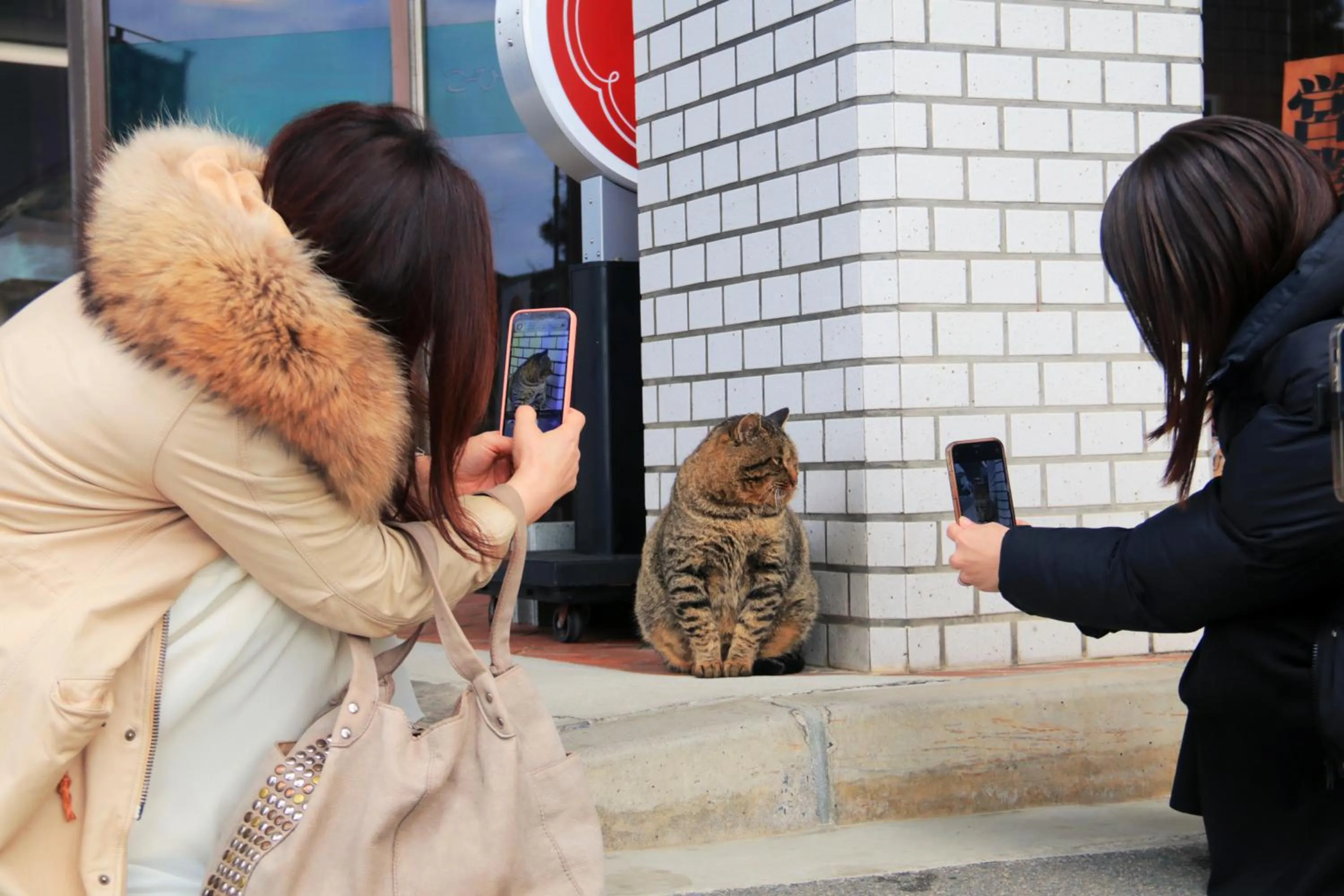 Nearby landmark in Villa Izumoya