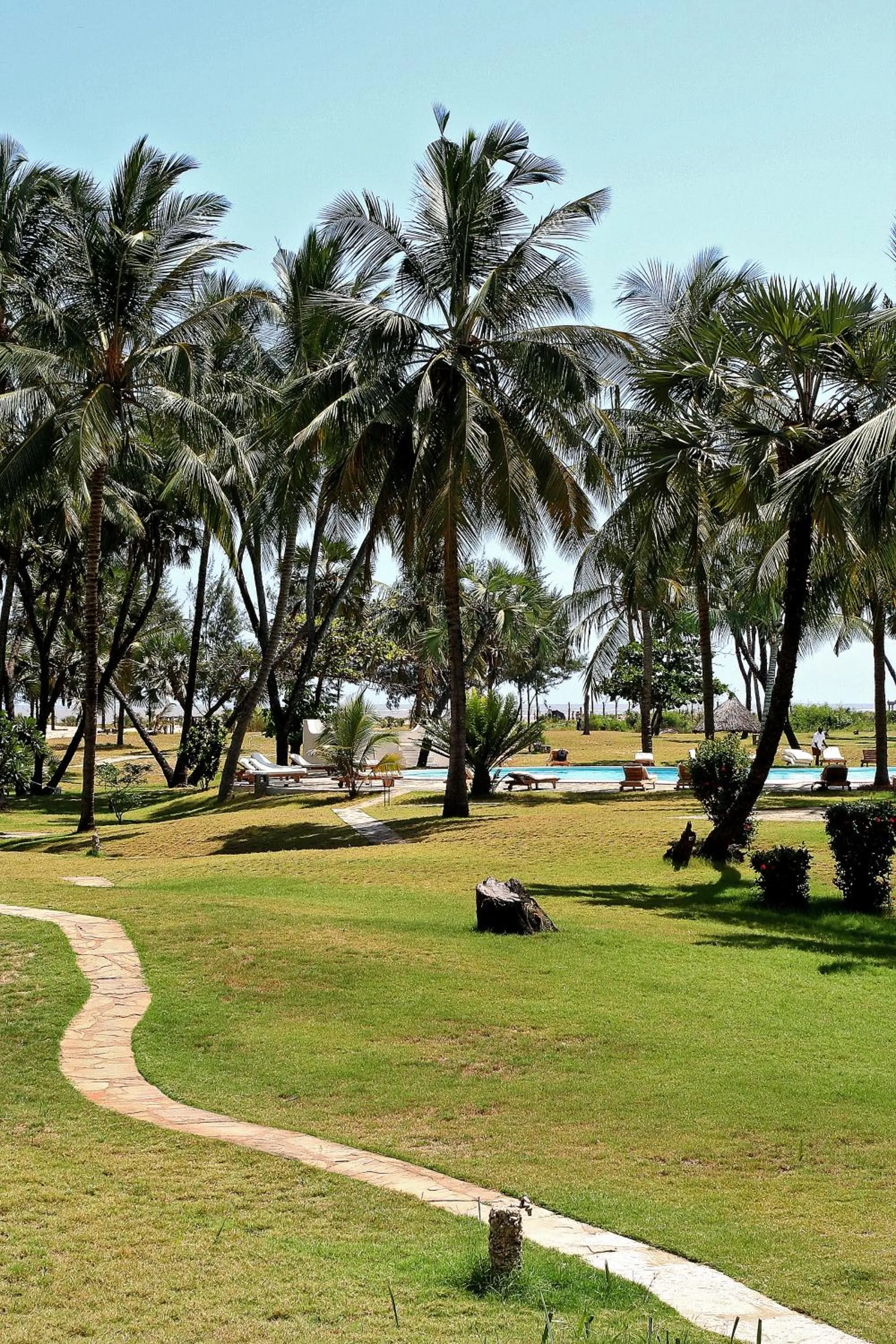 Garden view in The Lawford Hotel