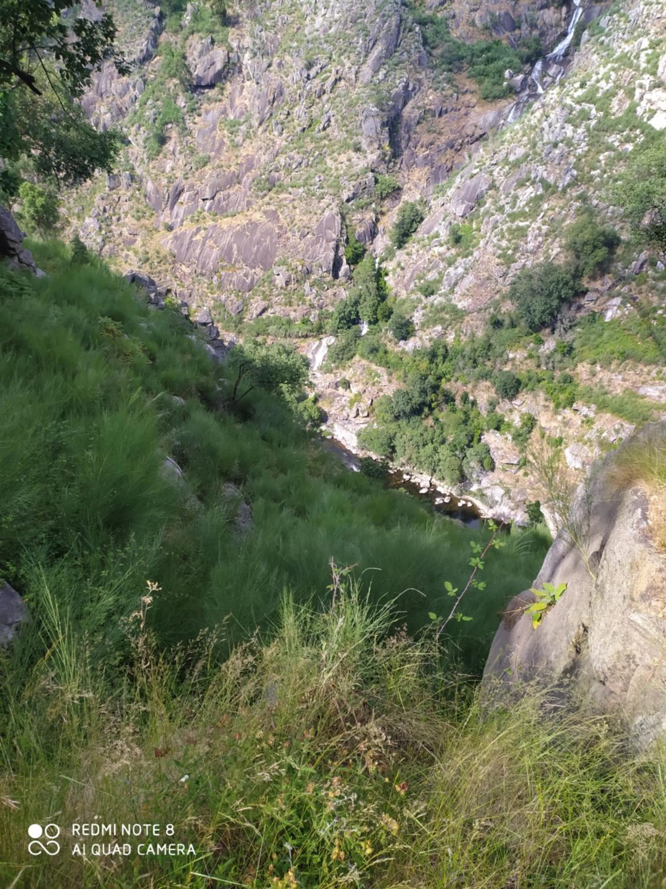 BellaVista Alojamento