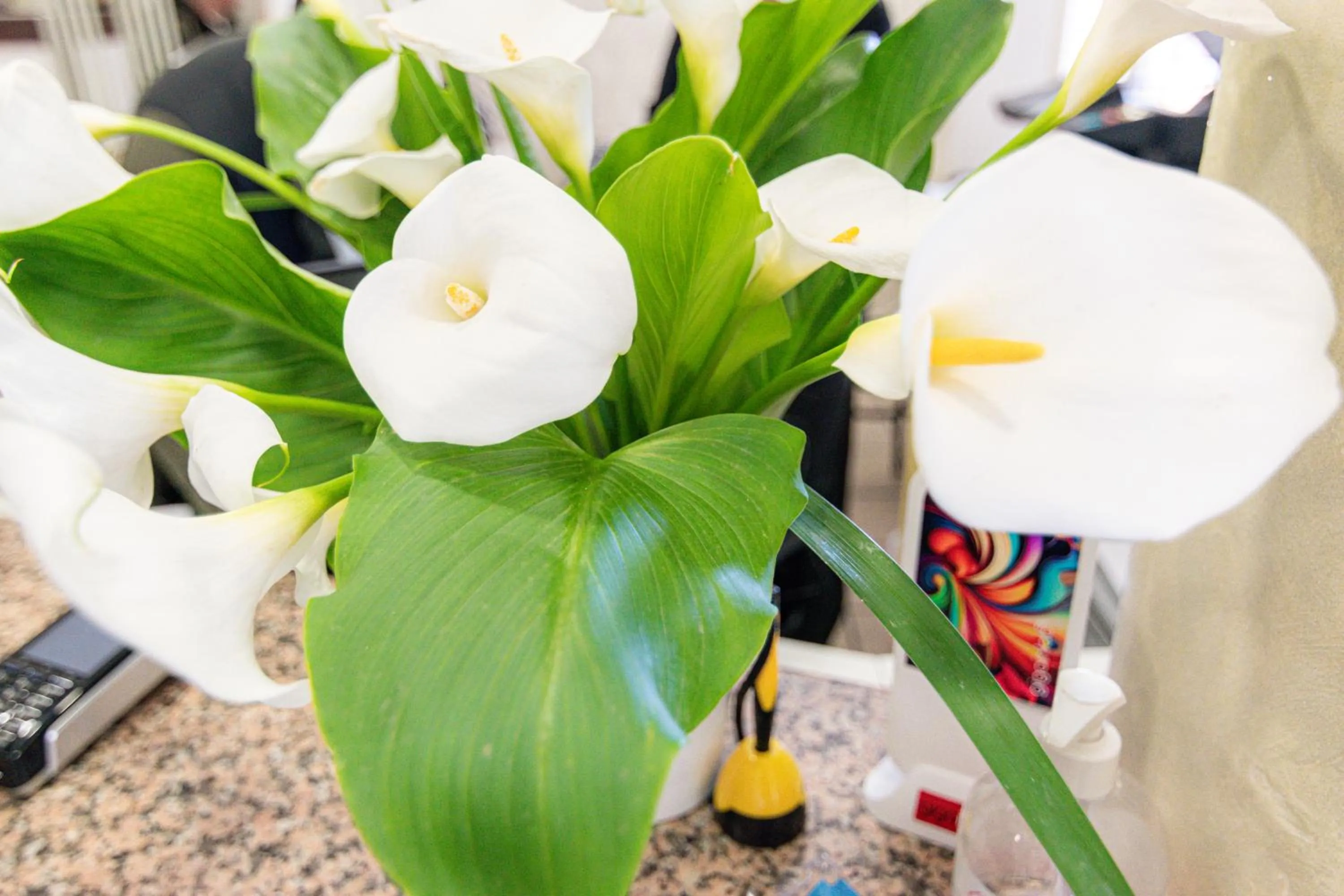 Decorative detail in HOTEL JOHN