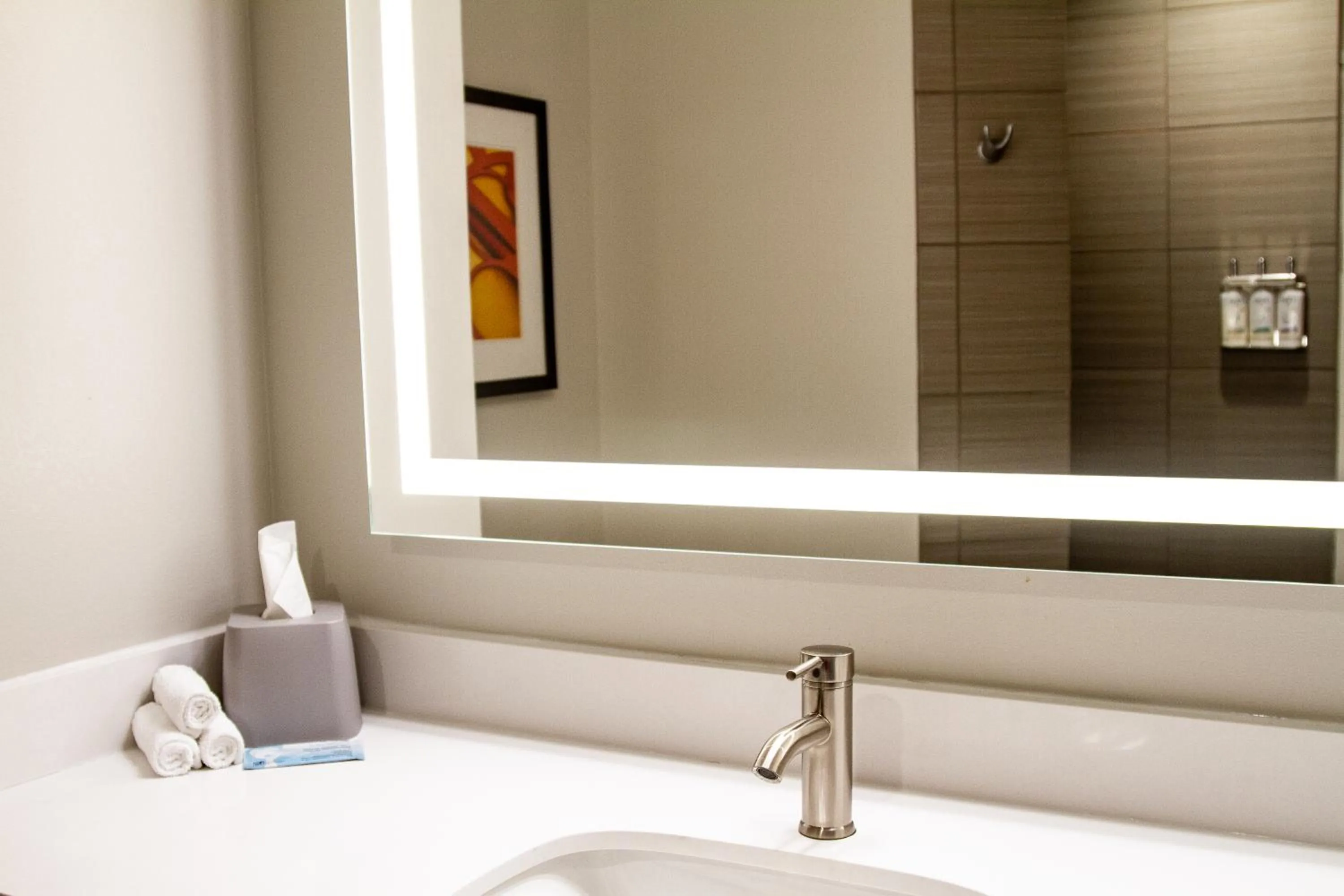 Holiday Inn Express & Suites Overland Park by IHG