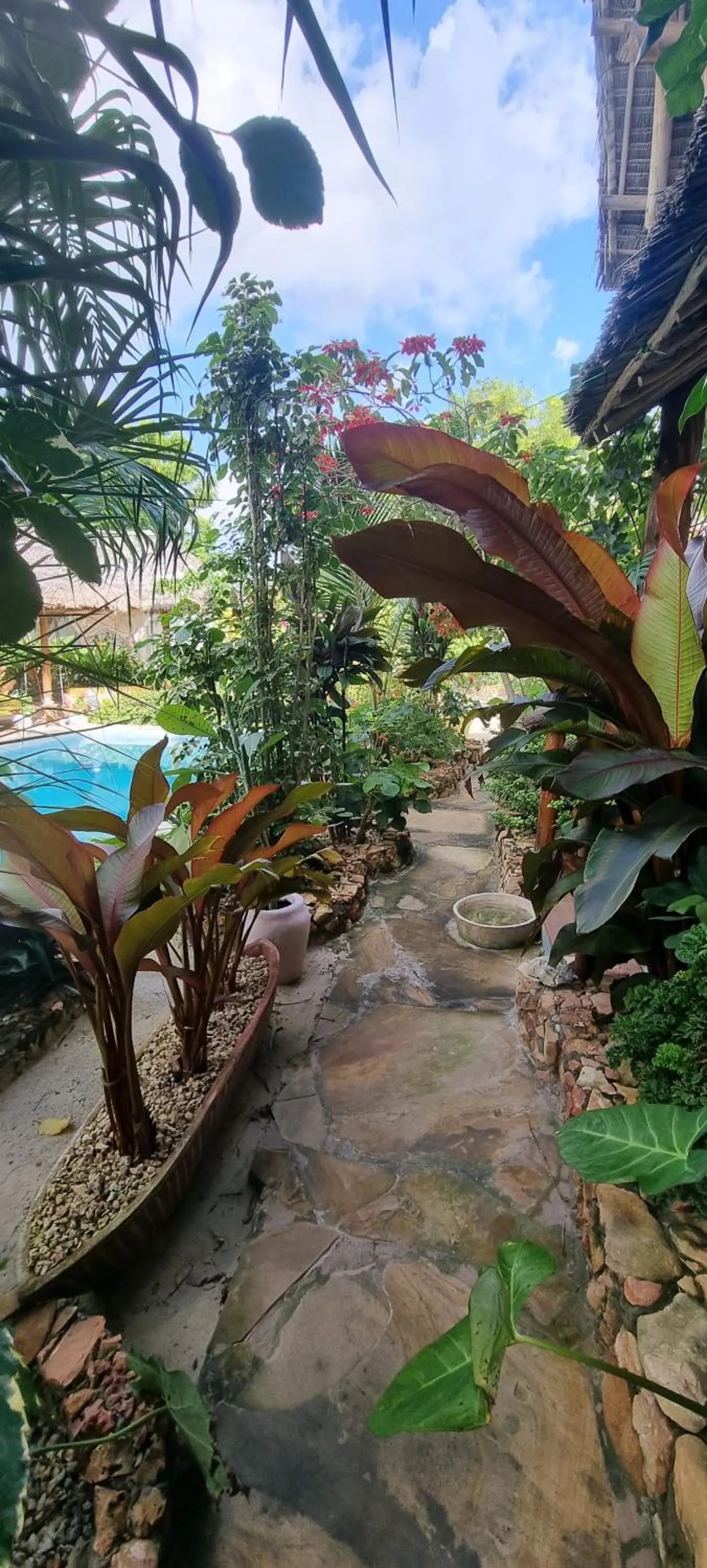 Garden in Salama & Mbuyuni Bungalows