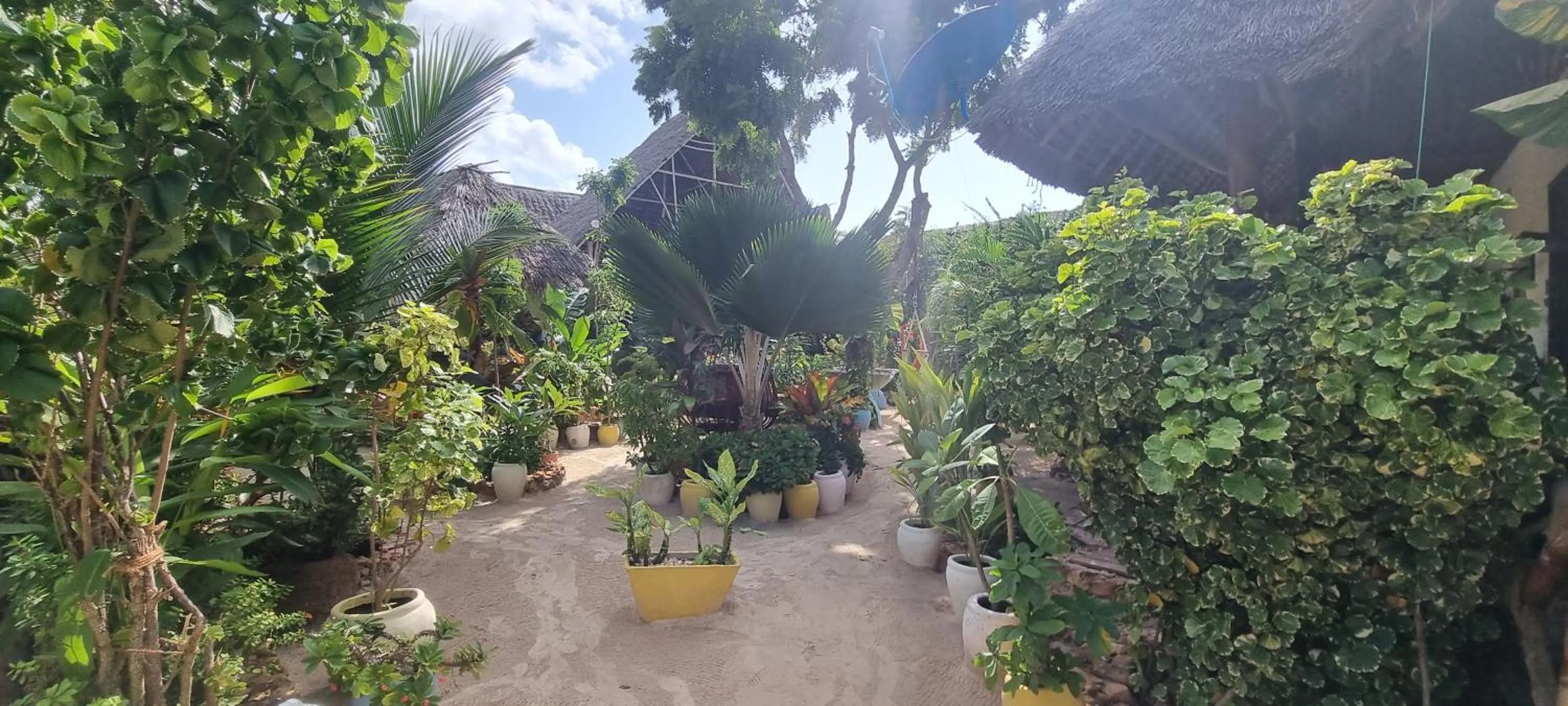 Garden in Salama & Mbuyuni Bungalows