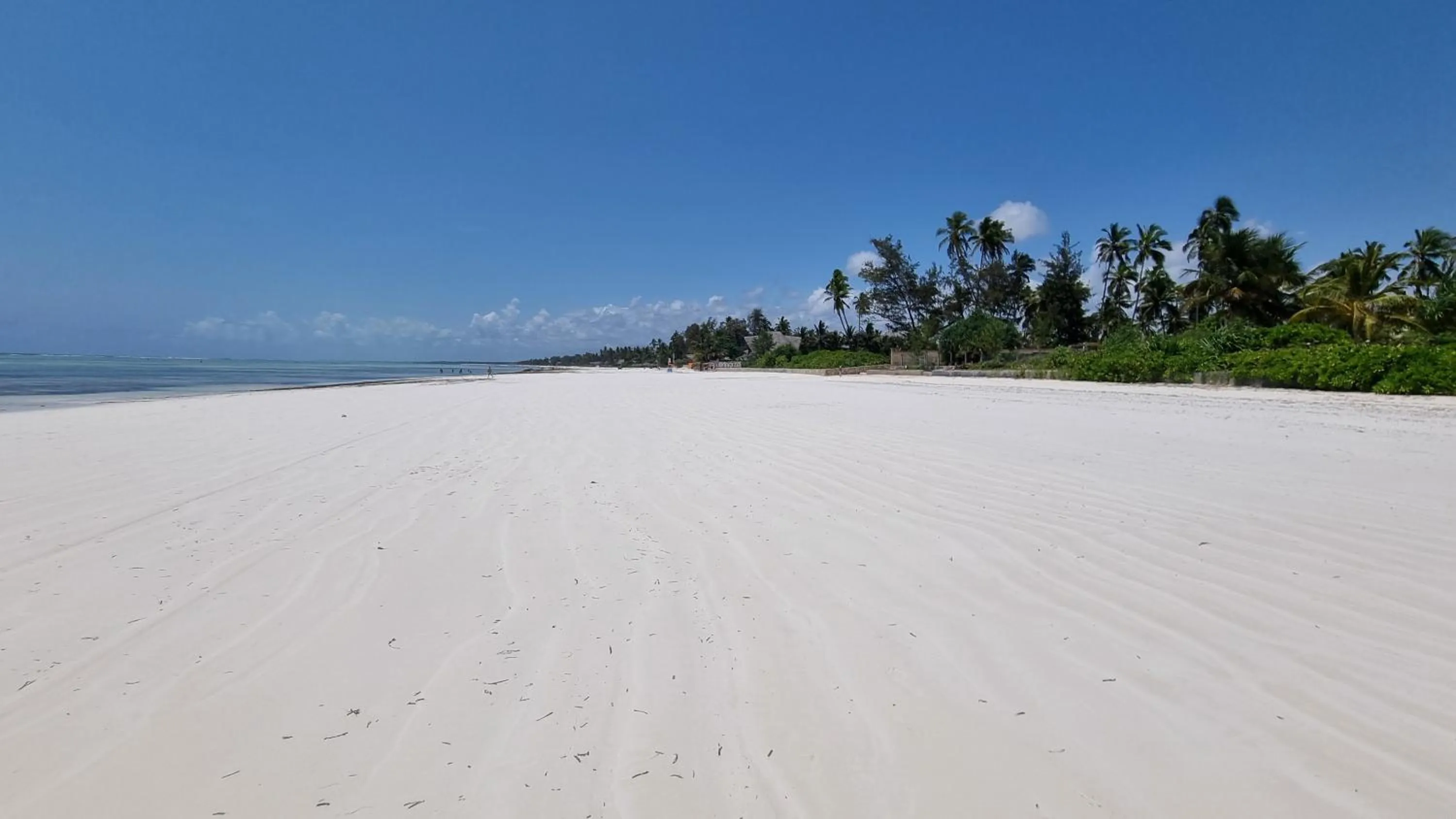 Natural landscape in Salama & Mbuyuni Bungalows