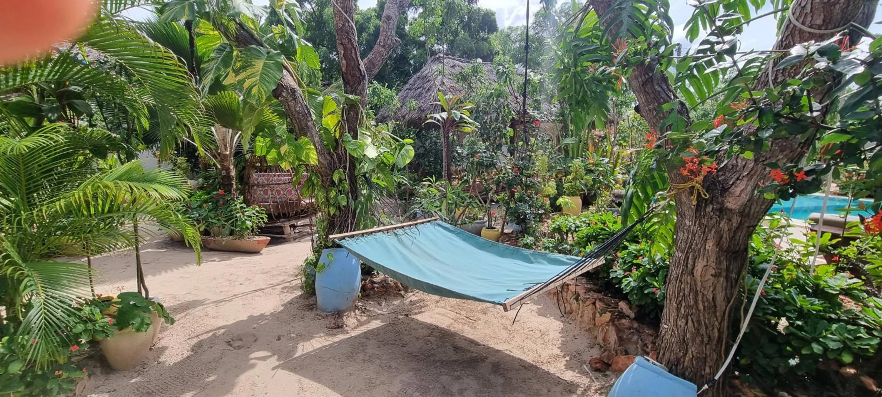 Garden in Salama & Mbuyuni Bungalows
