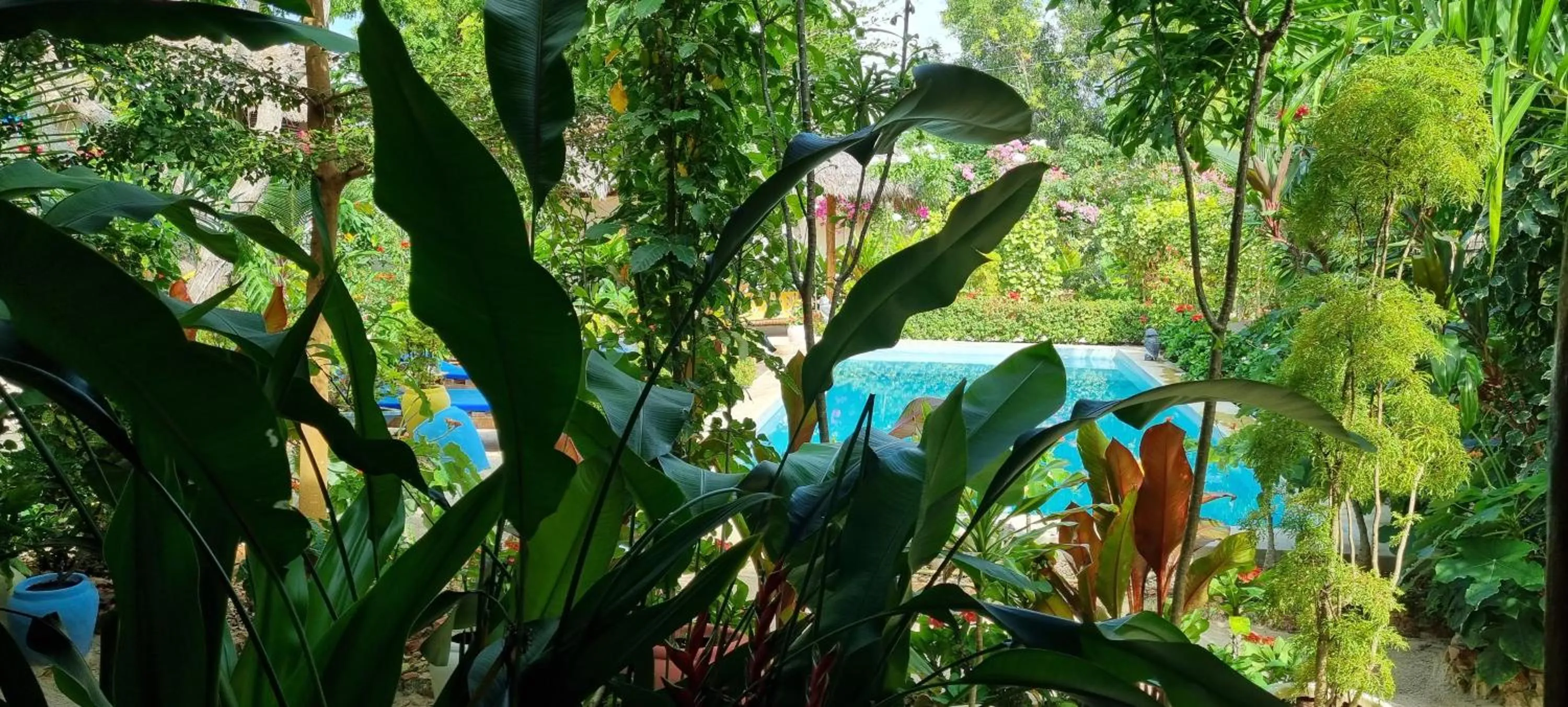 Garden in Salama & Mbuyuni Bungalows