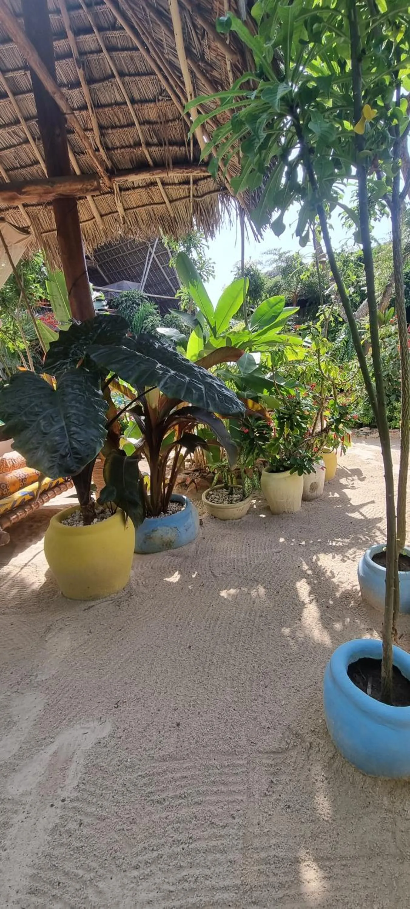 Garden in Salama & Mbuyuni Bungalows