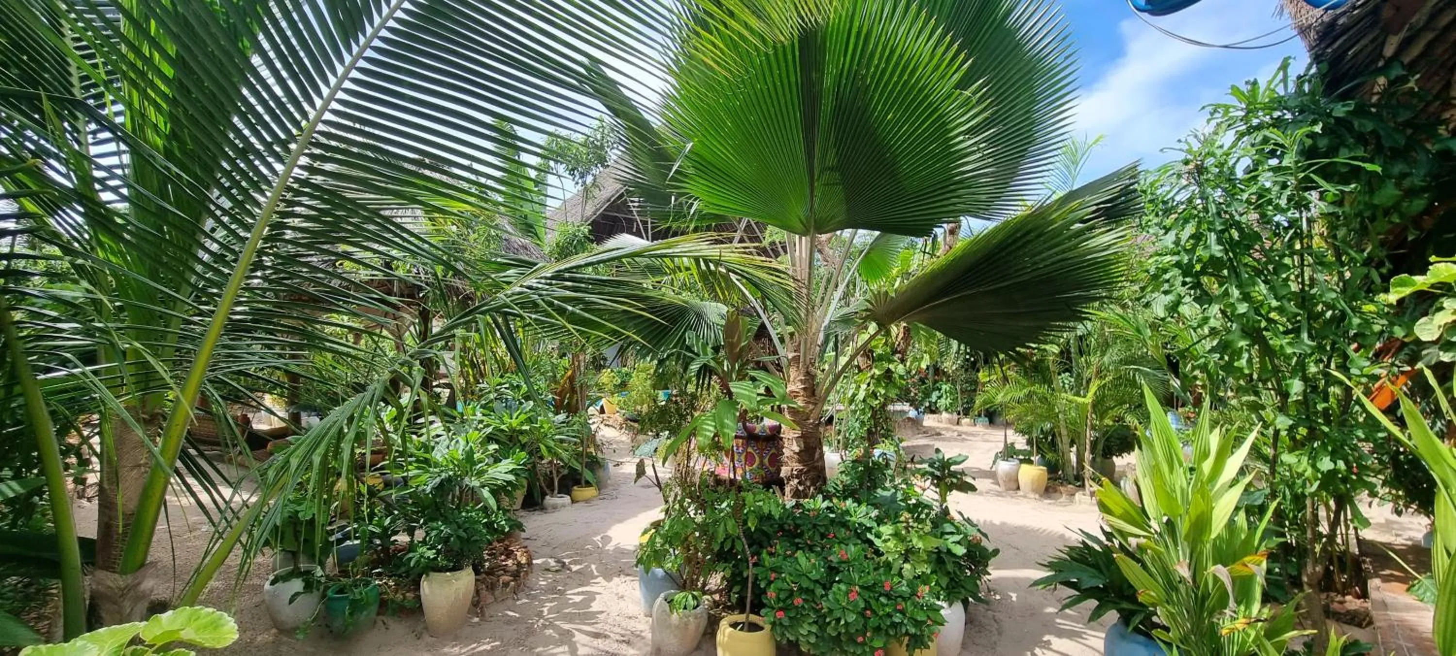 Garden in Salama & Mbuyuni Bungalows