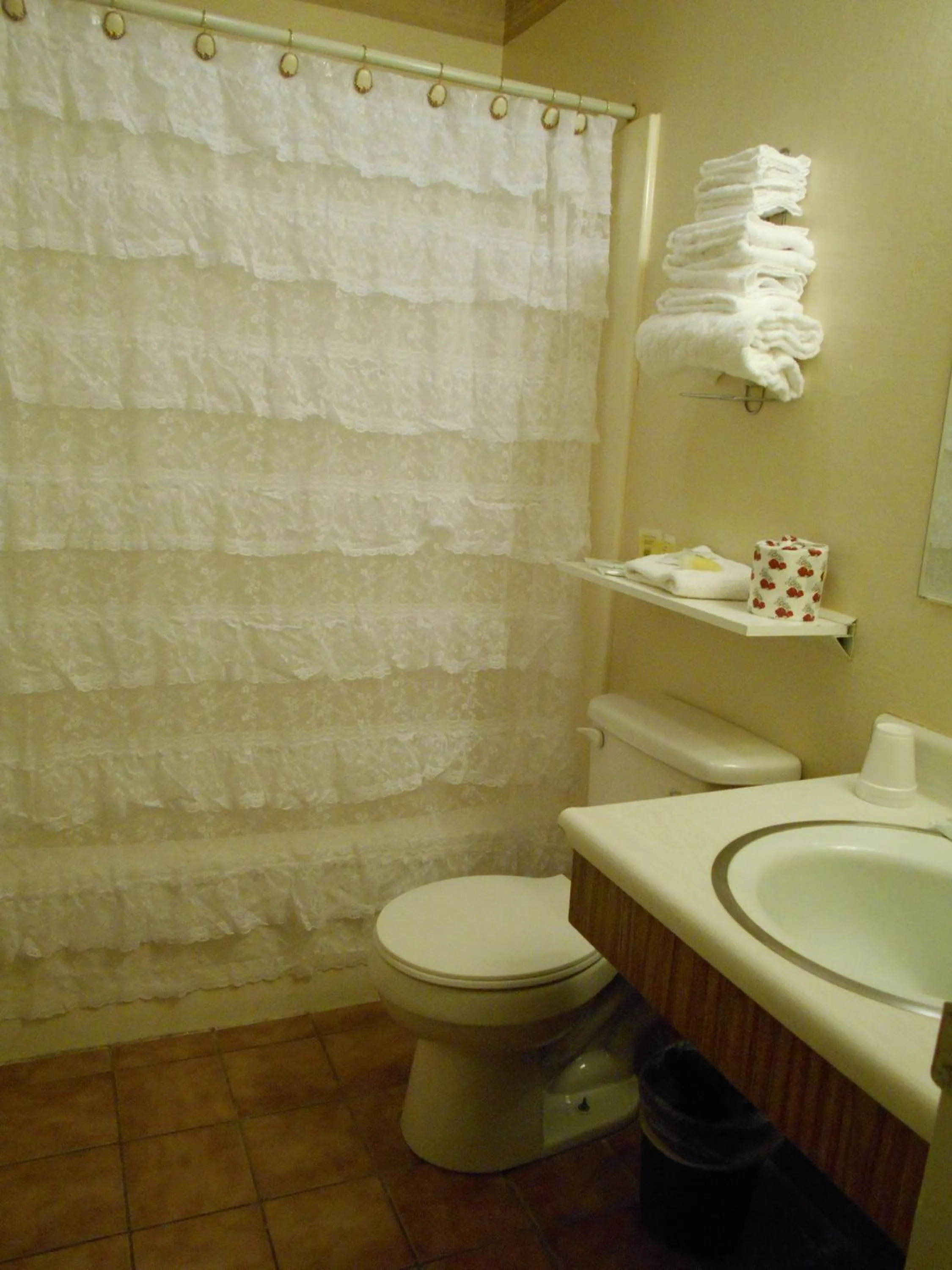 Bathroom in Victorian Inn