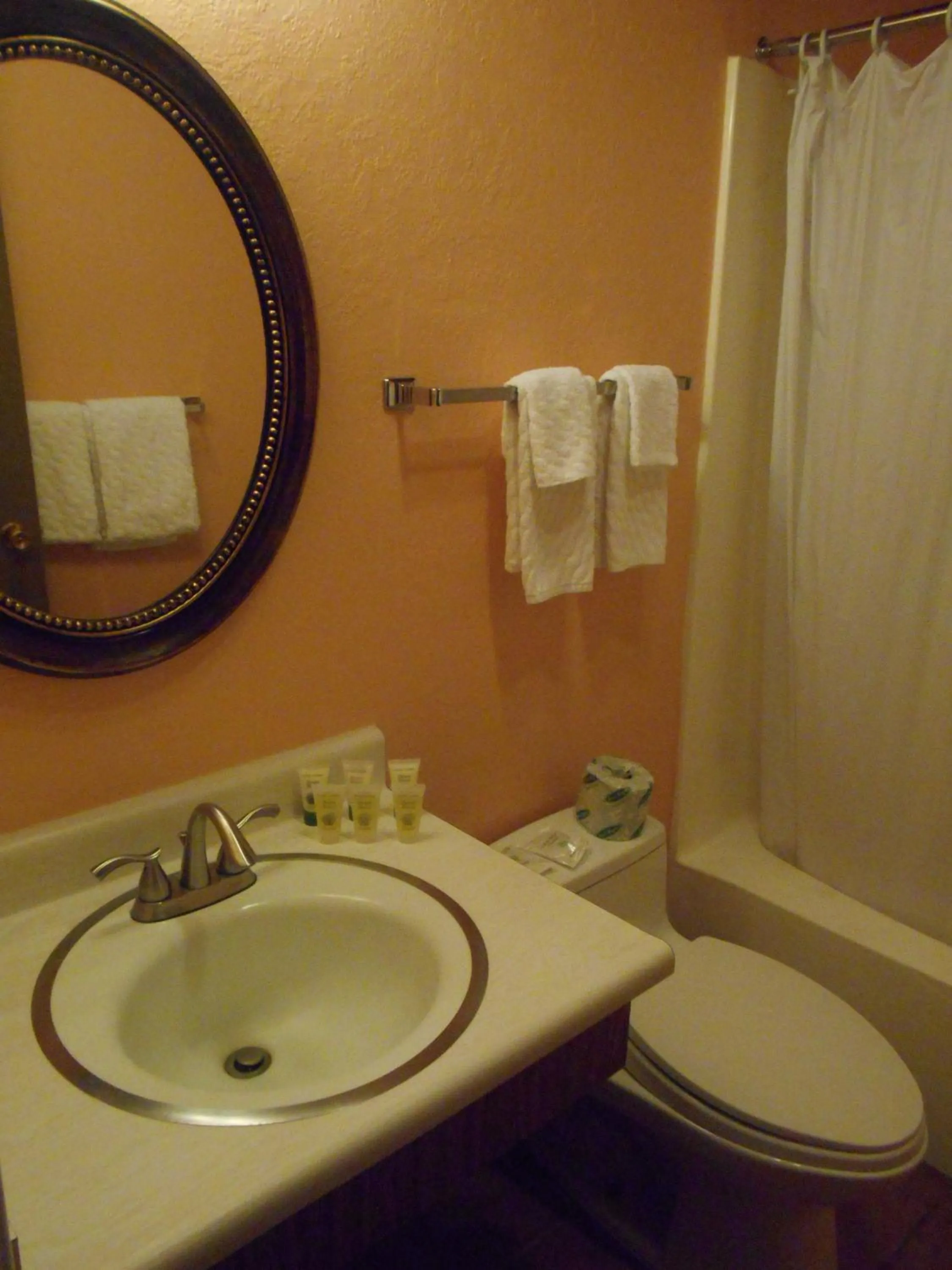 Bathroom in Victorian Inn