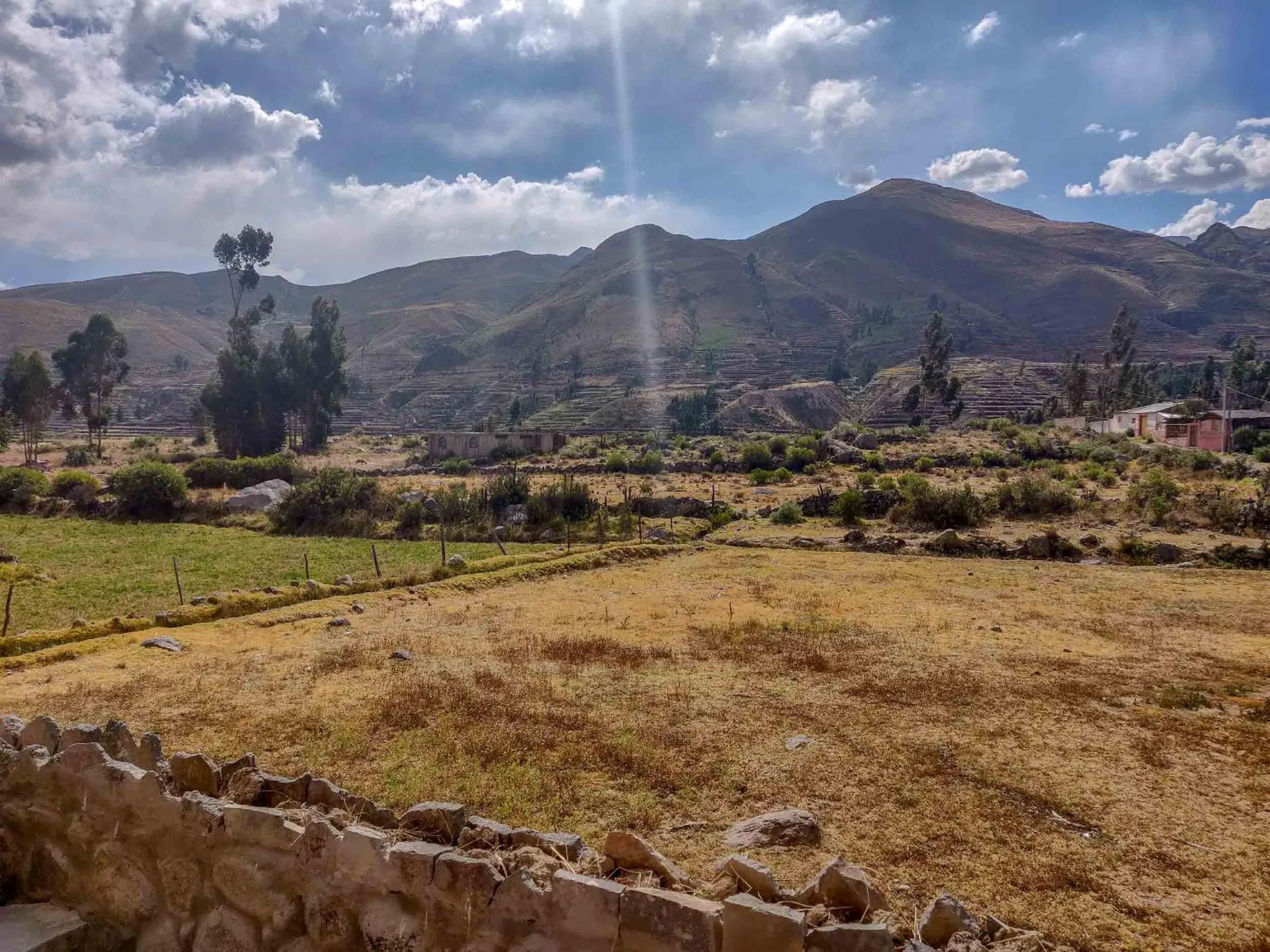 Garden view in Le Foyer Colca