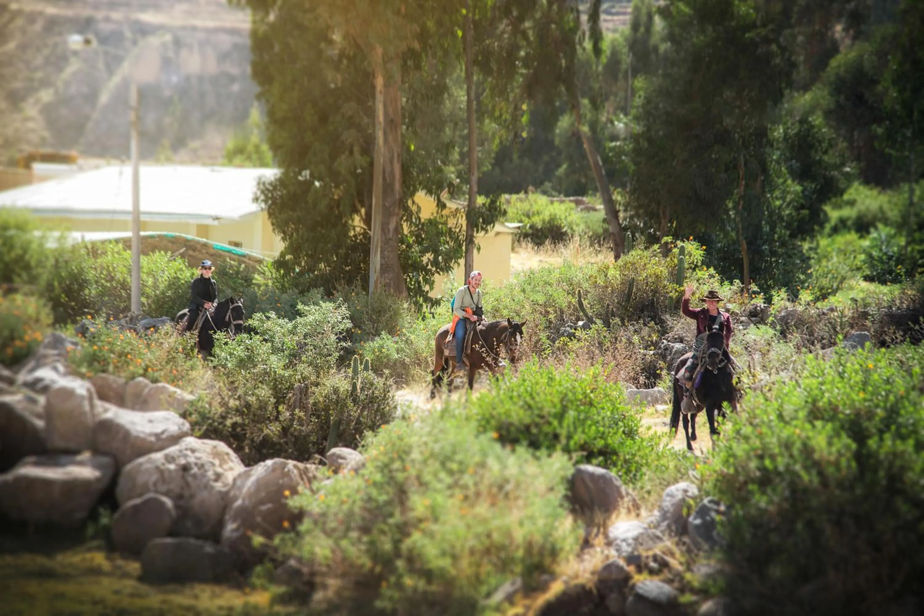 Natural landscape in Le Foyer Colca