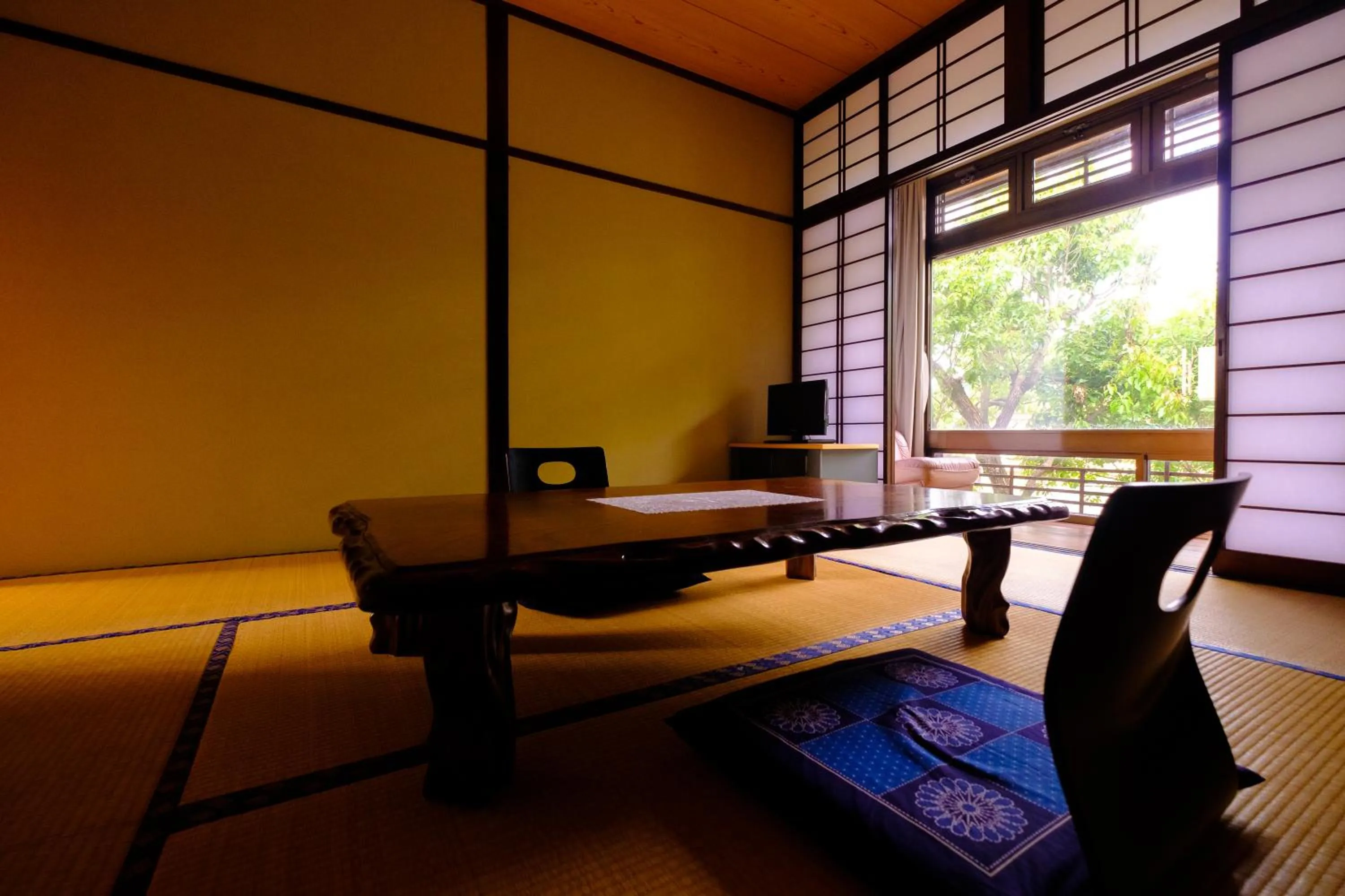 TV and multimedia in Good Stay Mizuho