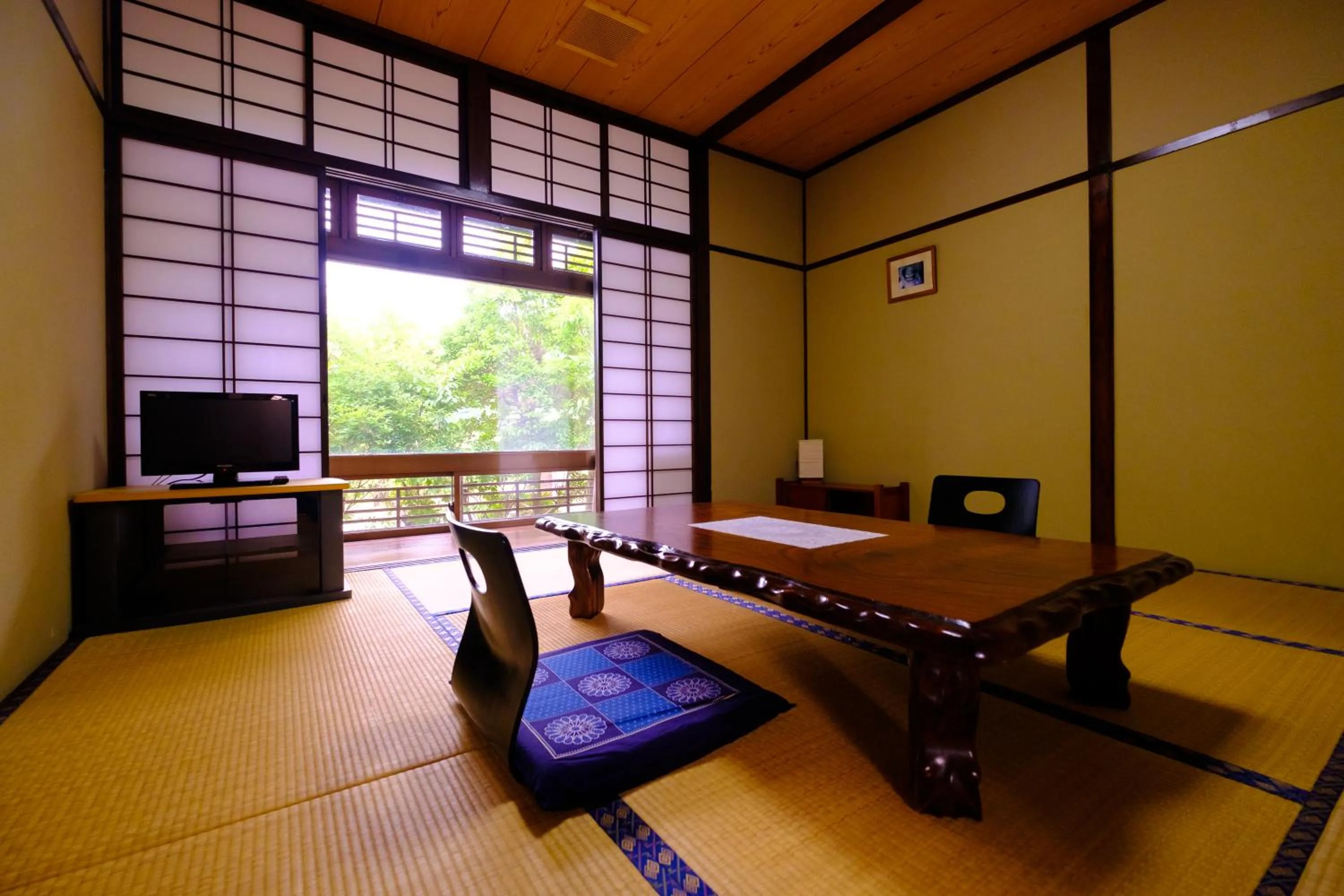 TV and multimedia in Good Stay Mizuho