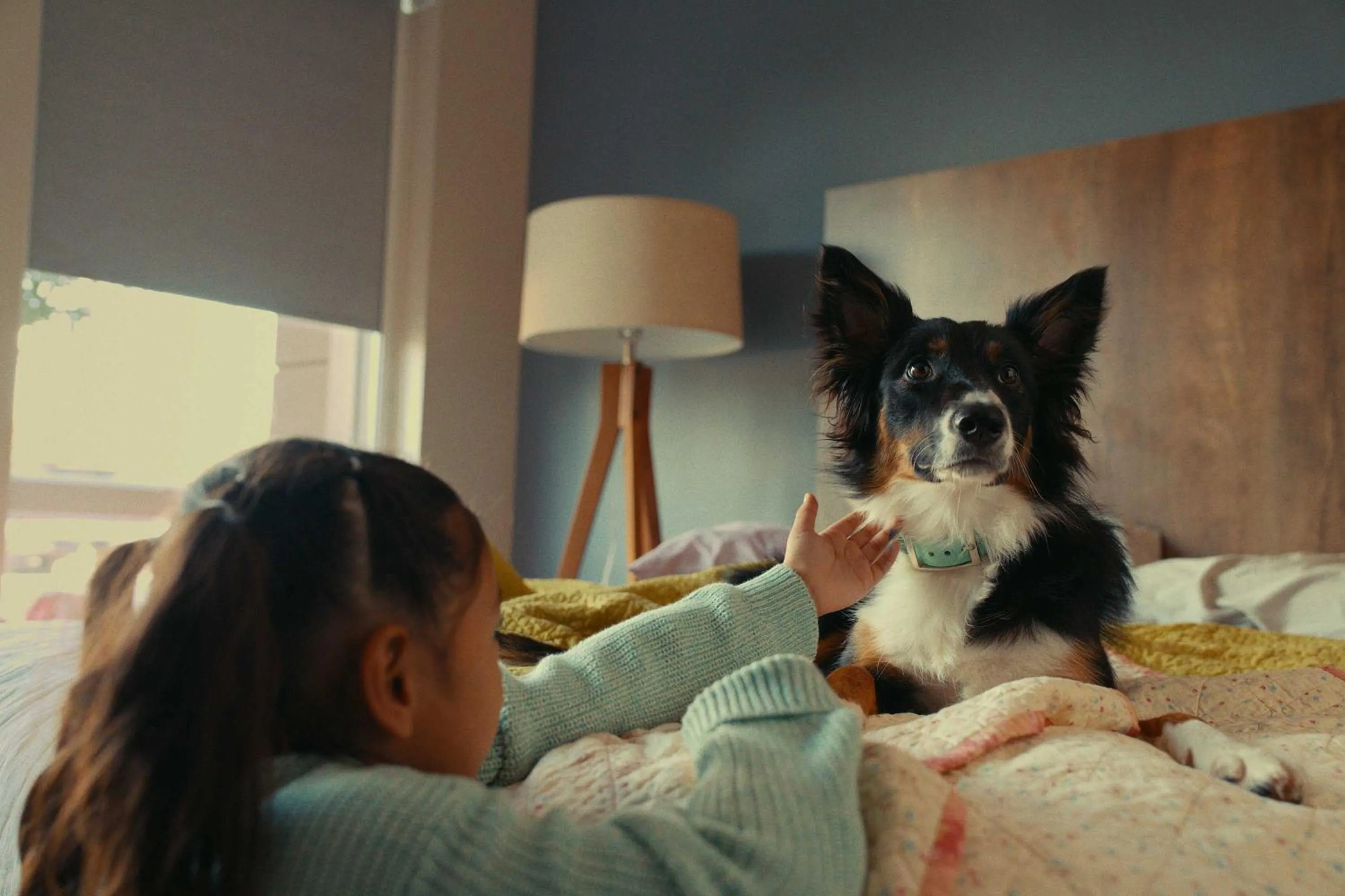 Pets in Extended Stay America Suites - Portland - Scarborough