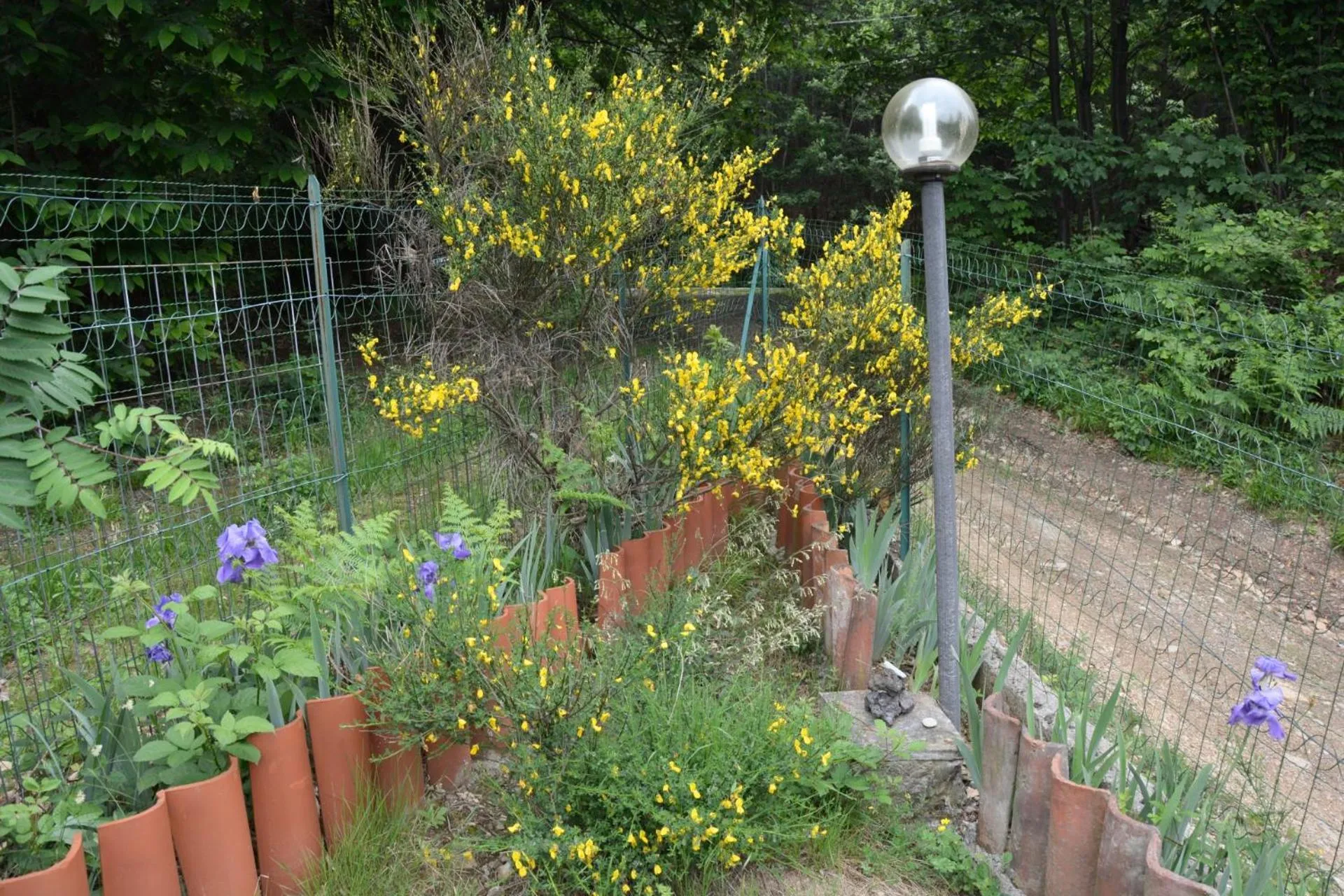 Garden in Casa Omnia B&B