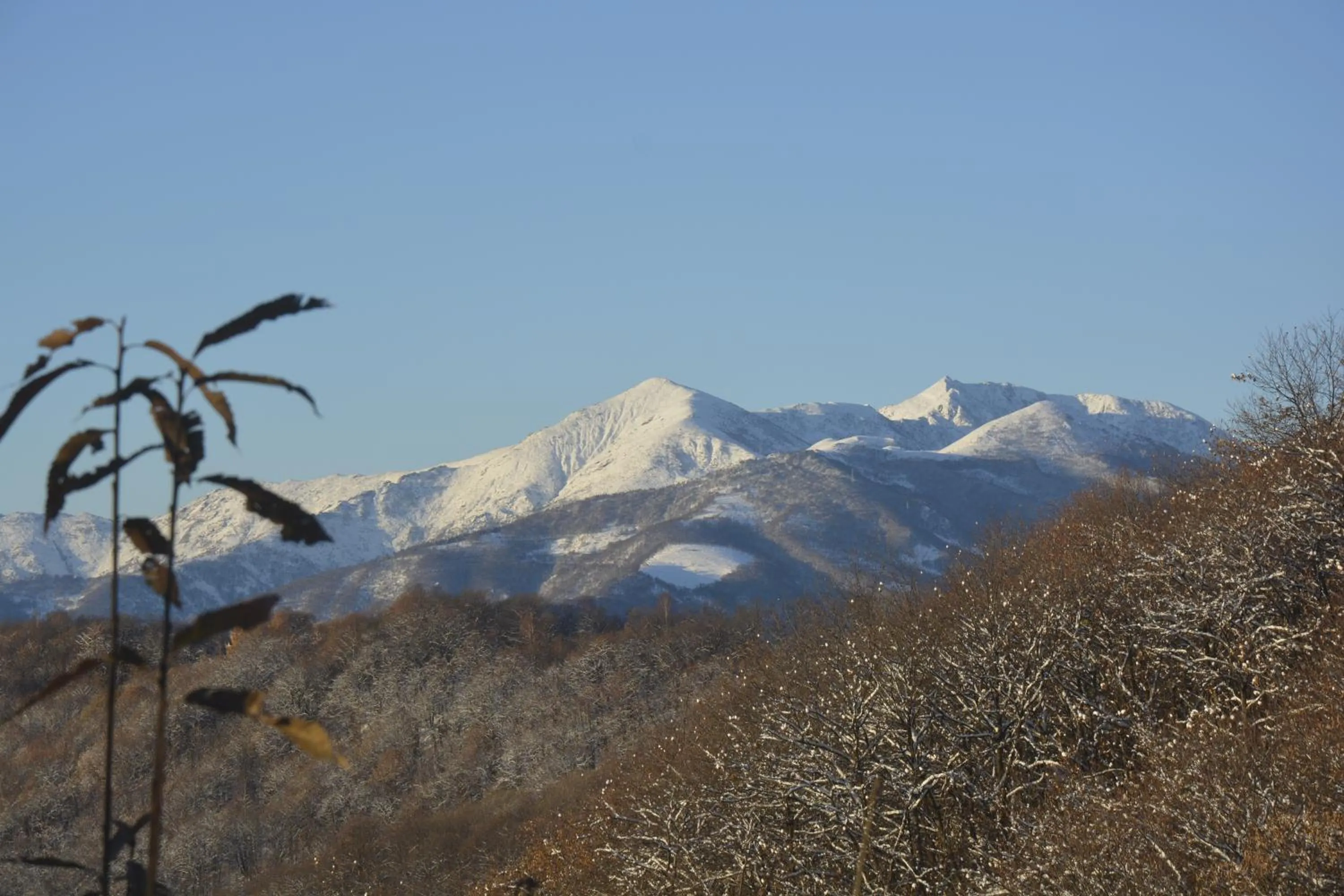 Mountain view in Casa Omnia B&B