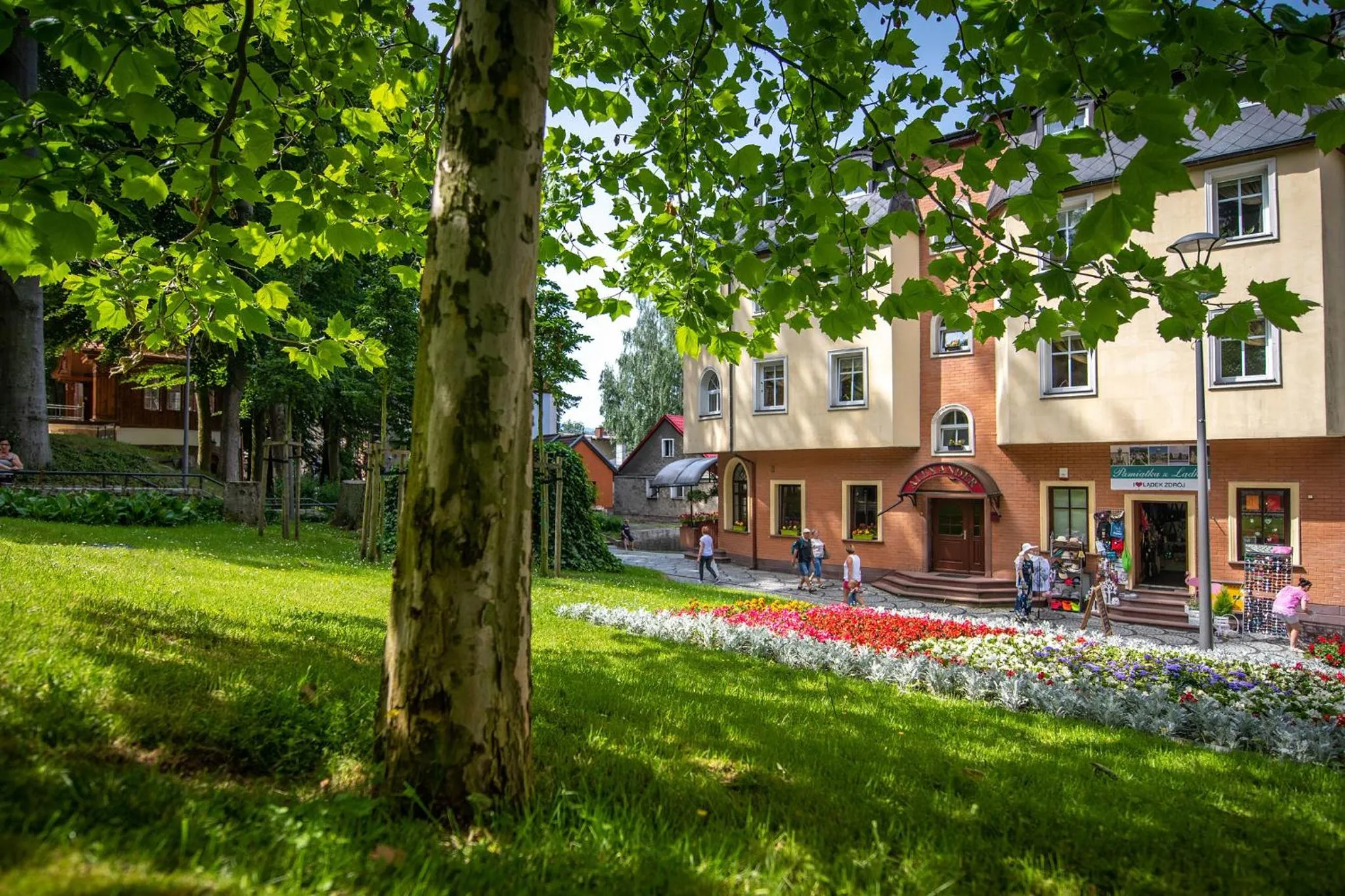 Property building in Willa Alexander