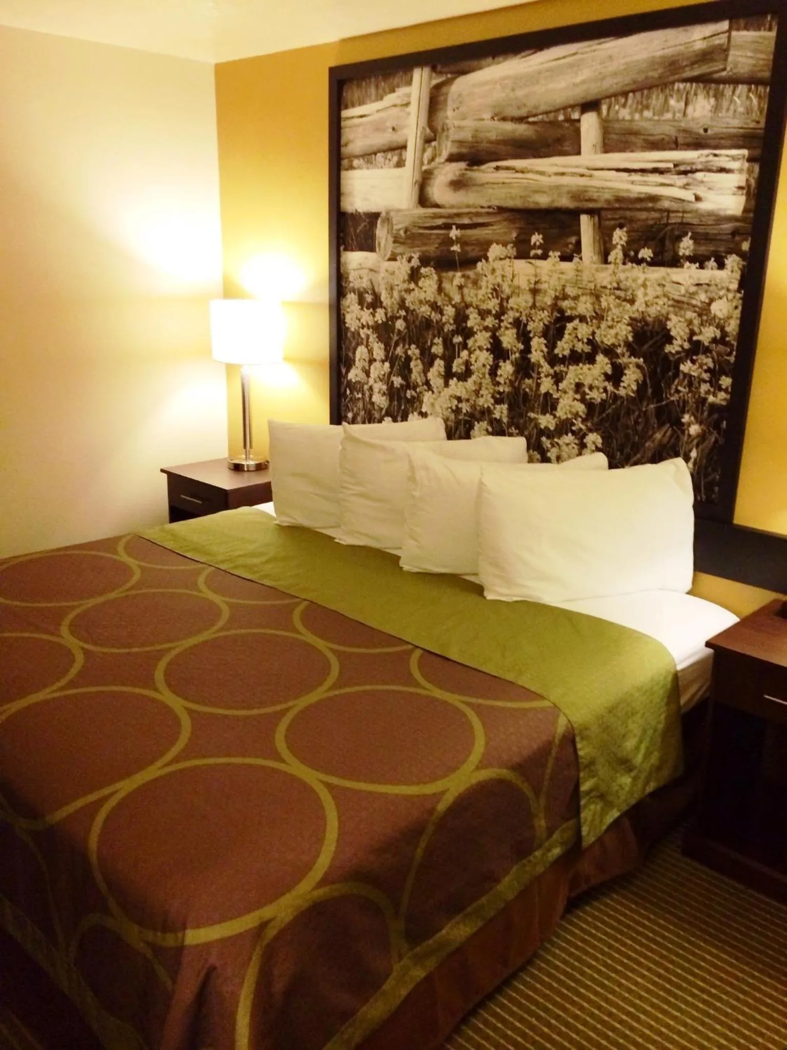 Bed in Super 8 by Wyndham Idaho Falls