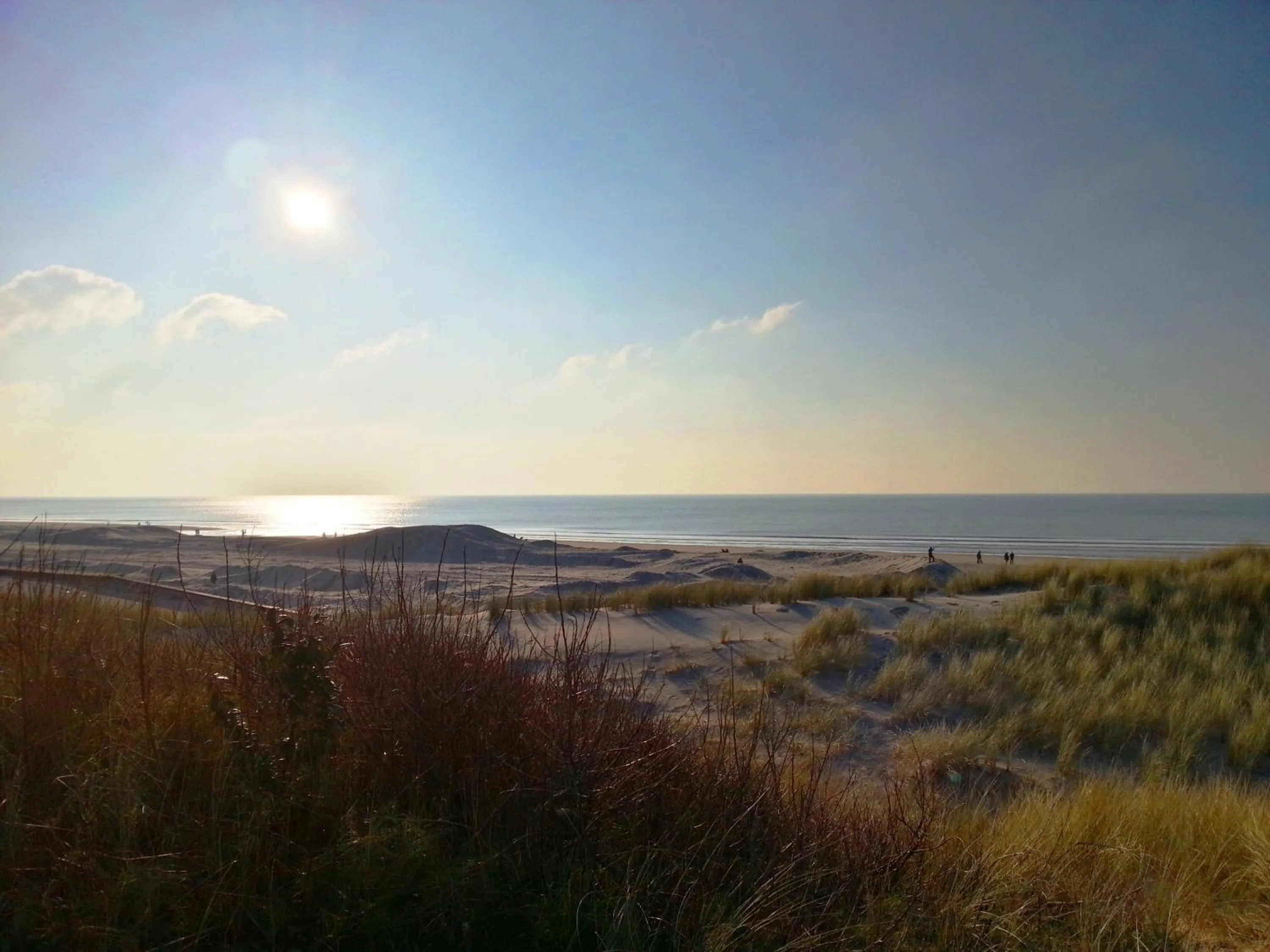 Natural landscape in Hôtel Barrière Le Westminster